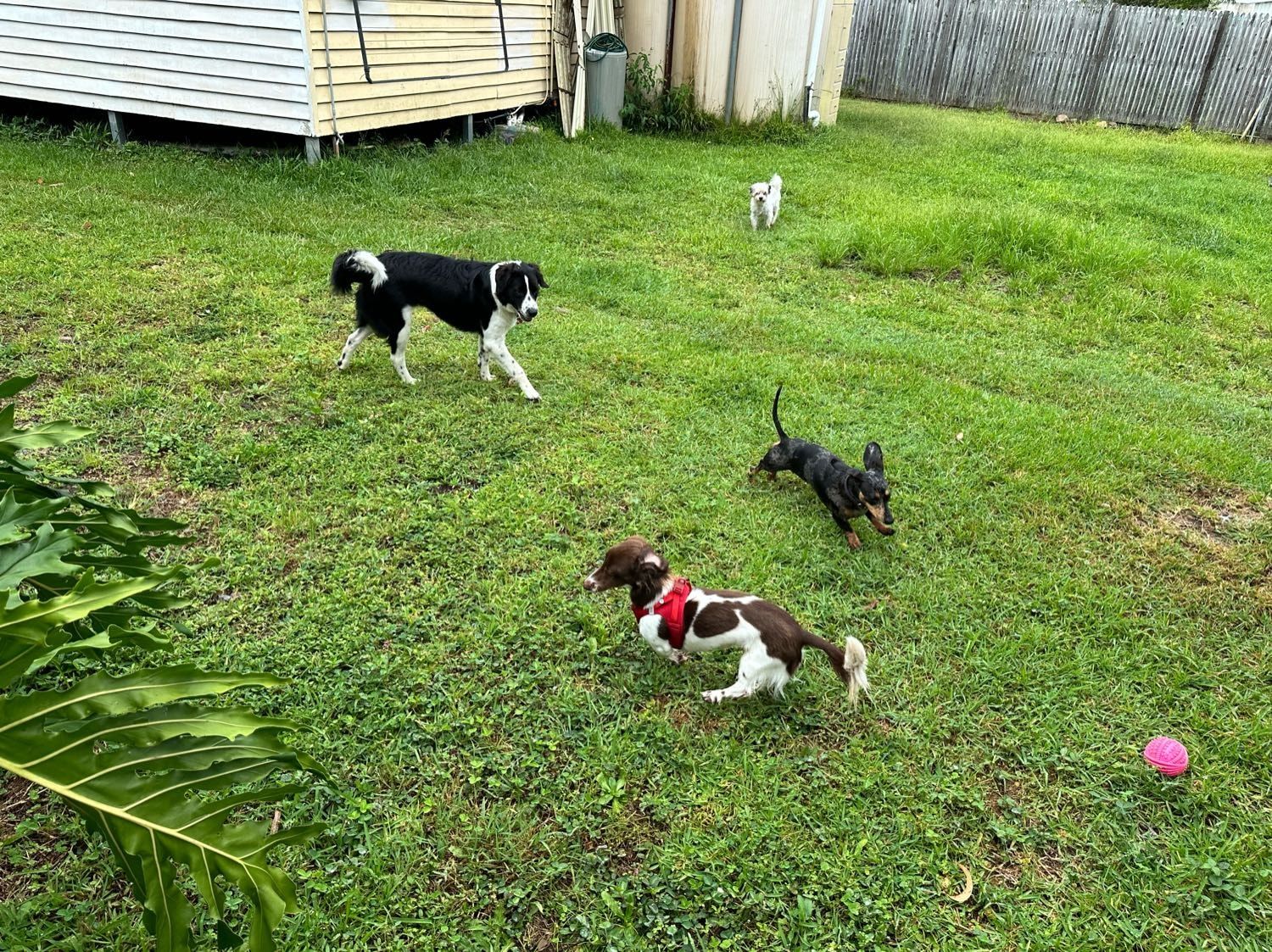 image-12