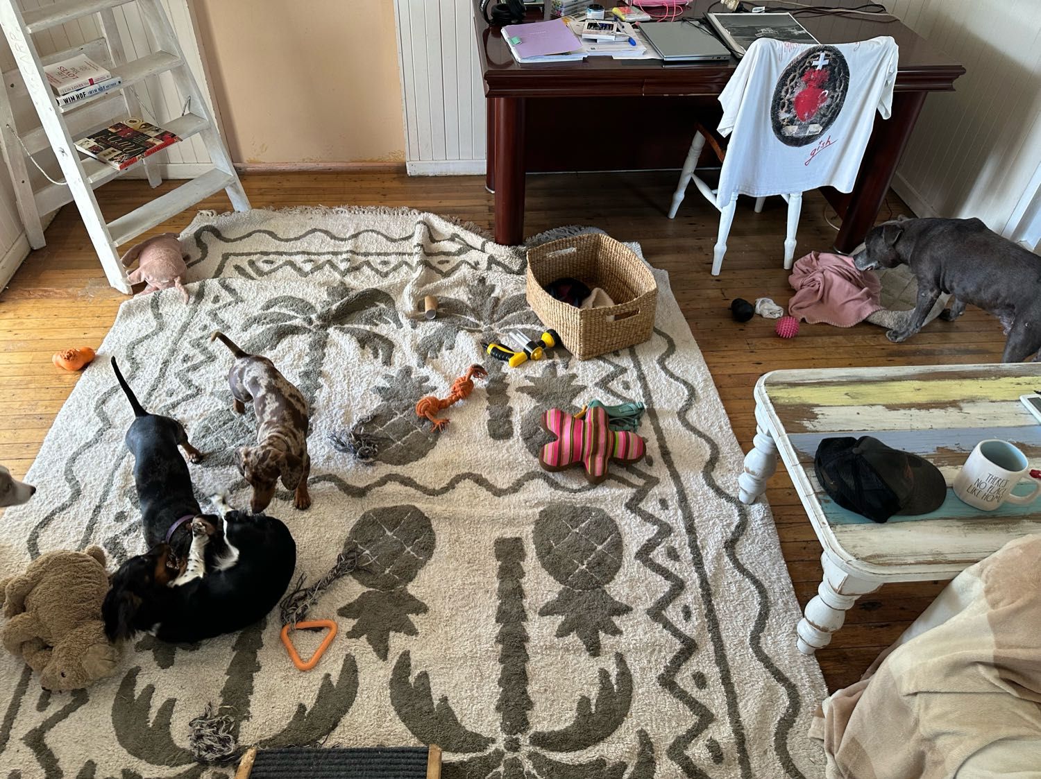 image-41