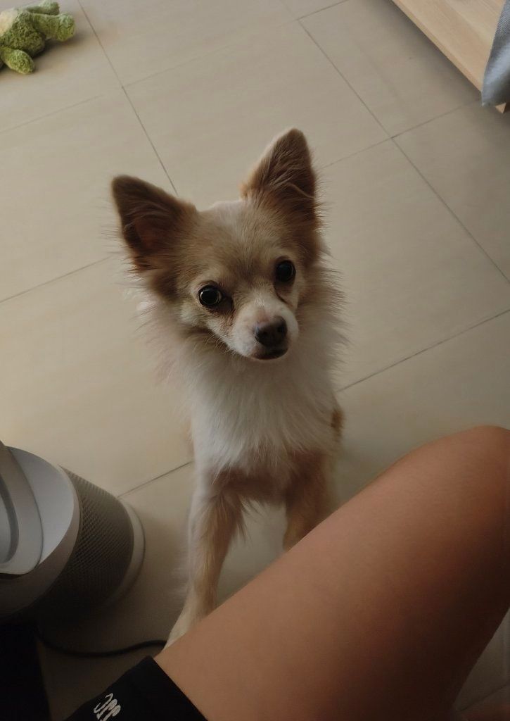 image-8