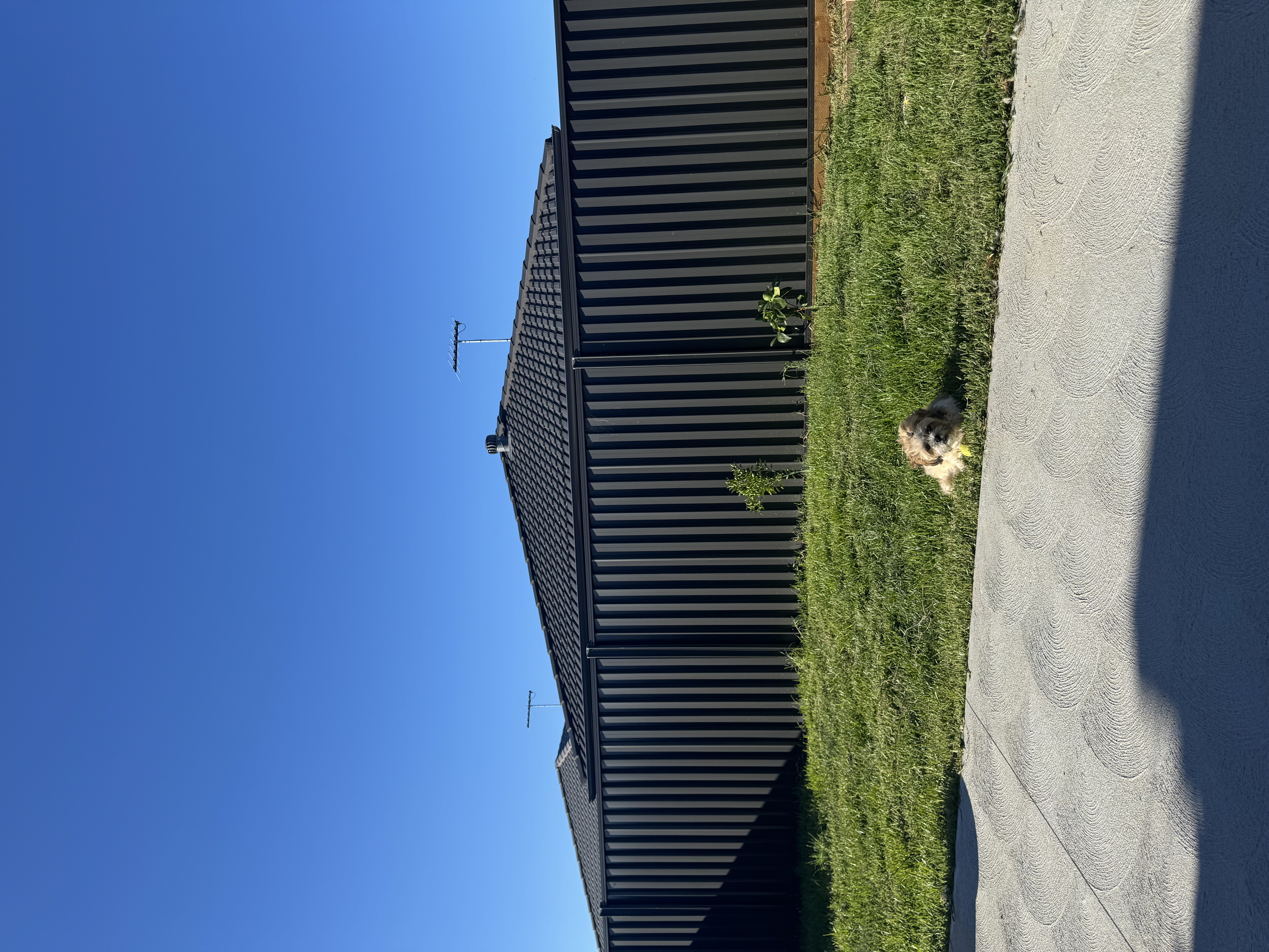 image-11