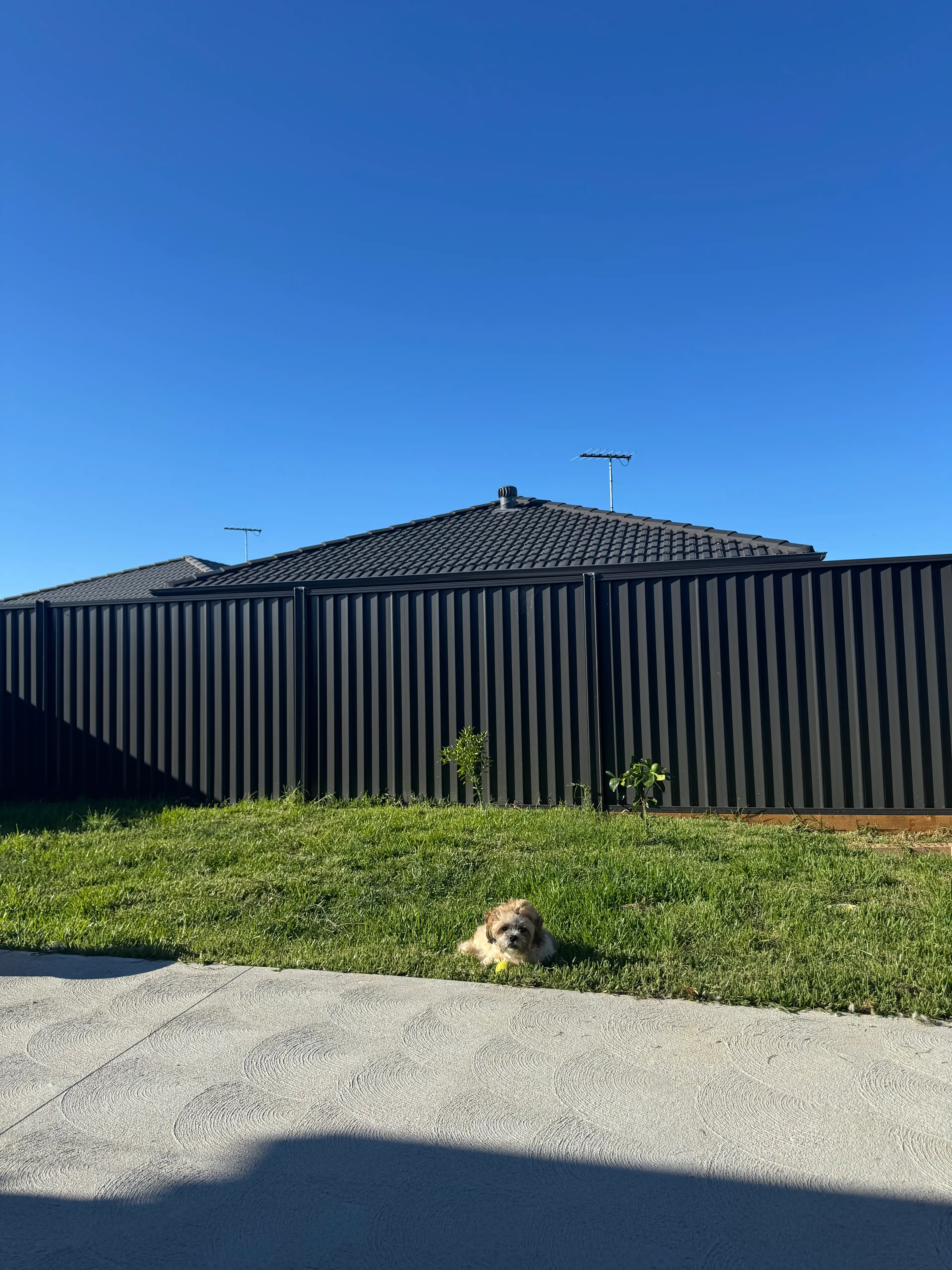 image-11