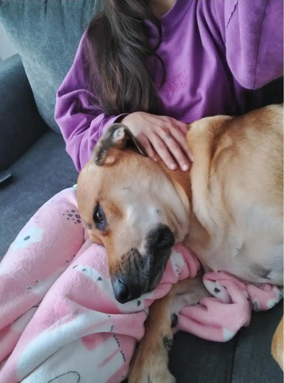 image-11