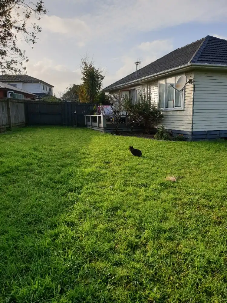 image-7