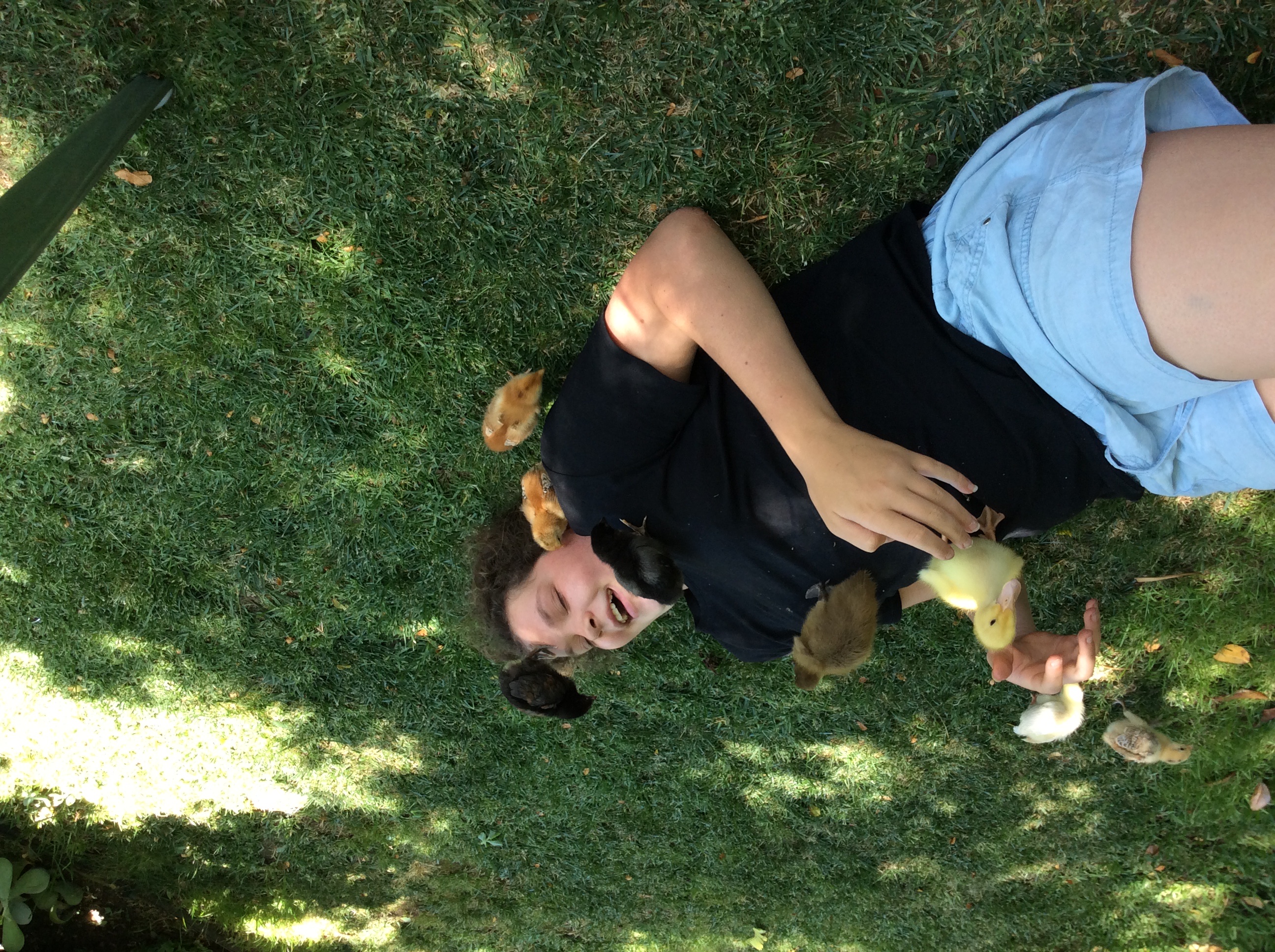 image-6