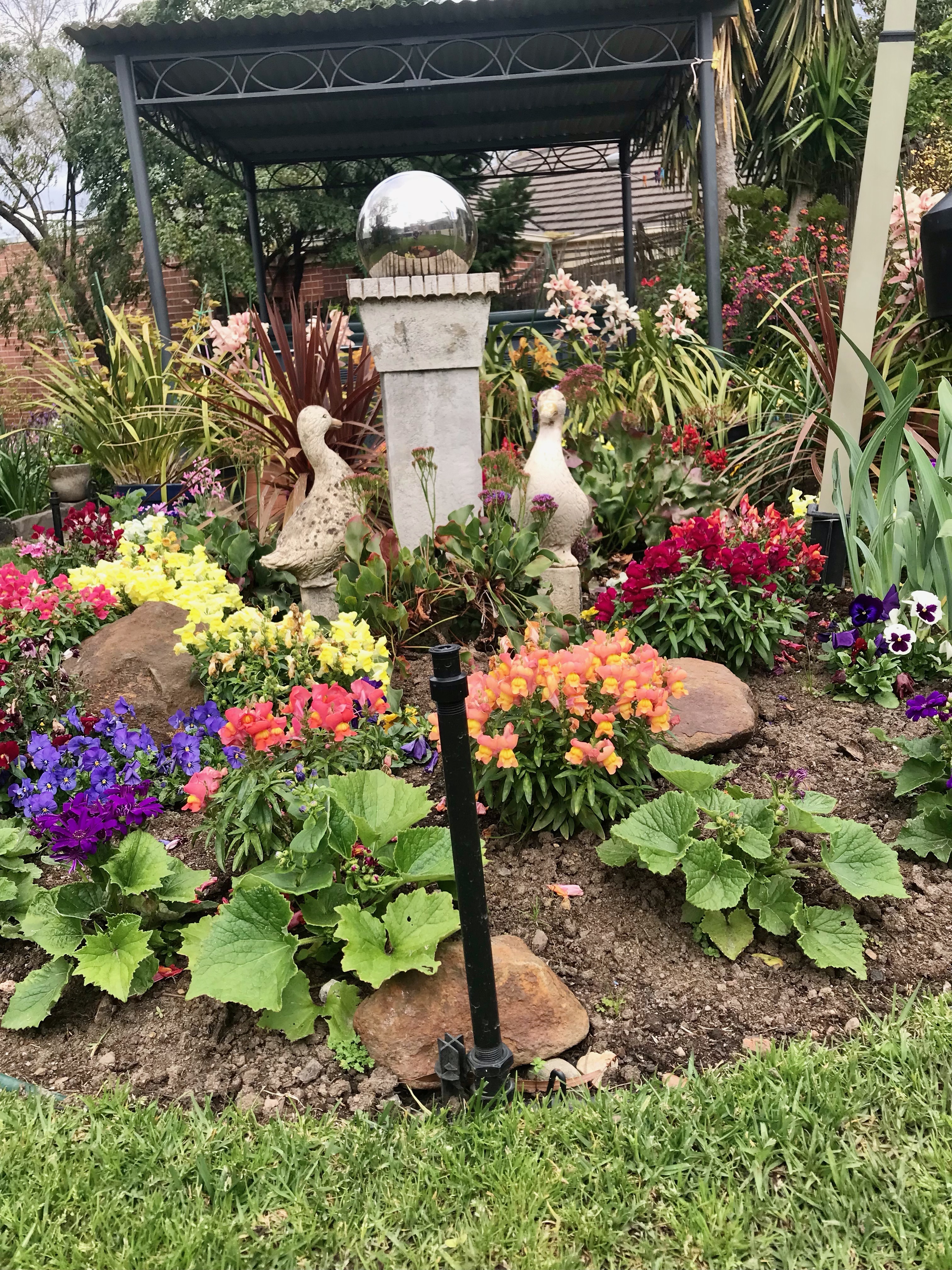 image-10