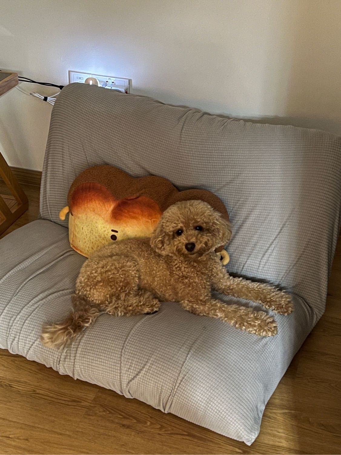 image-7