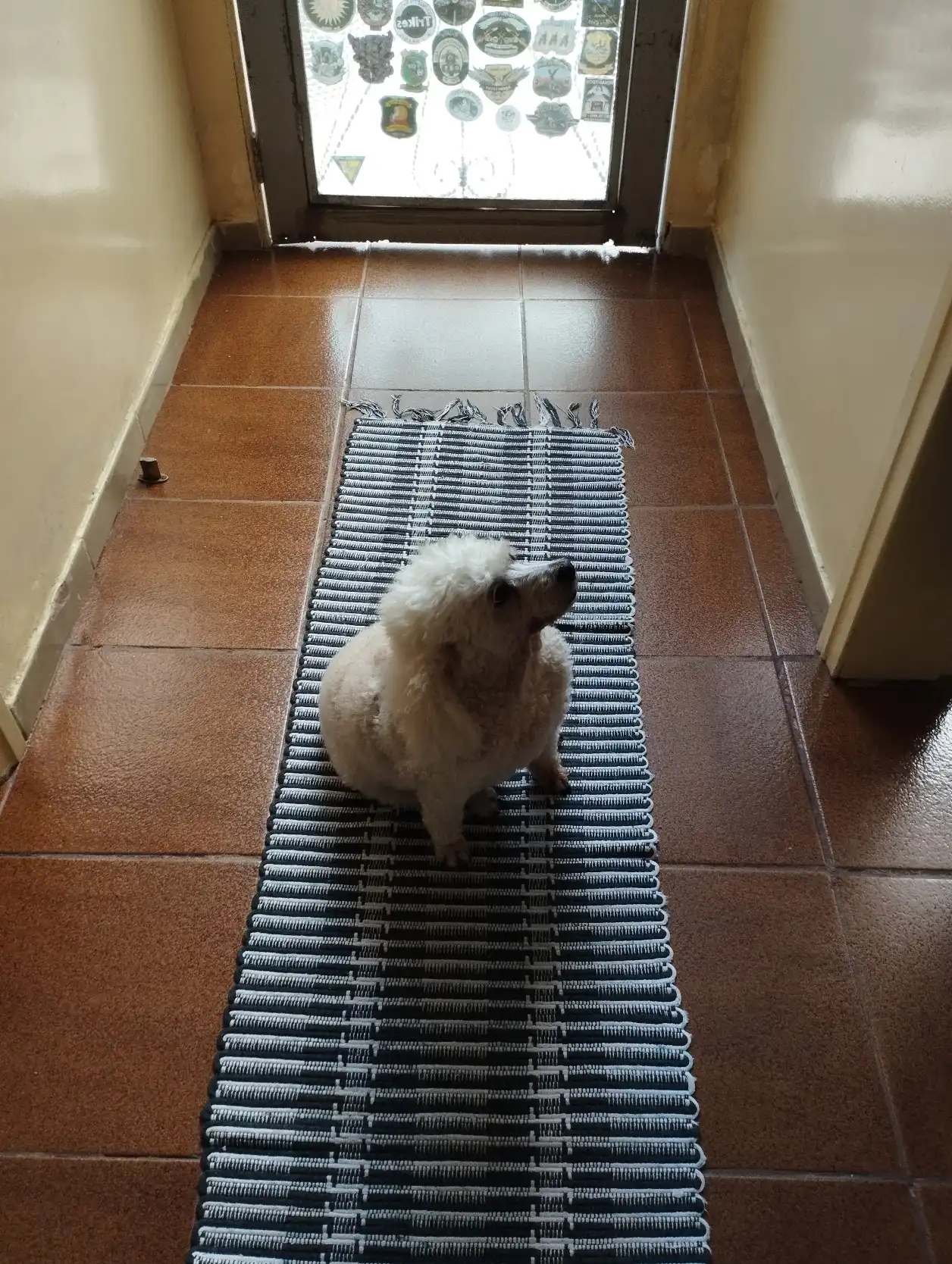 image-11