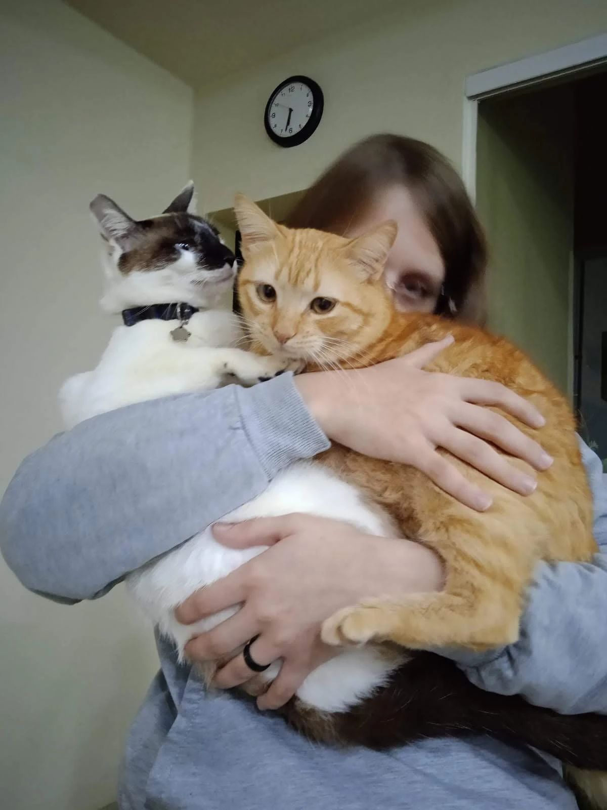 image-6