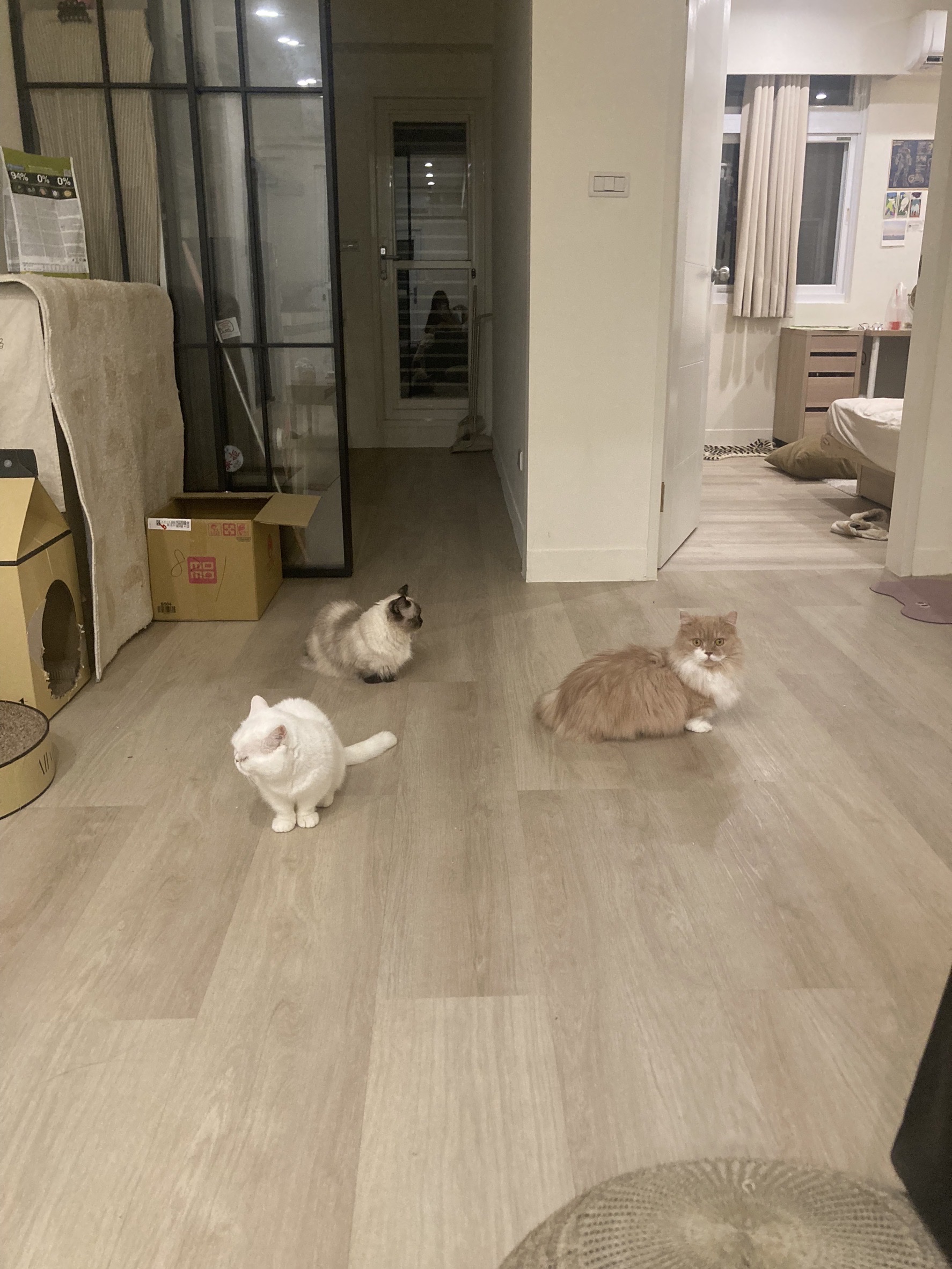 image-9