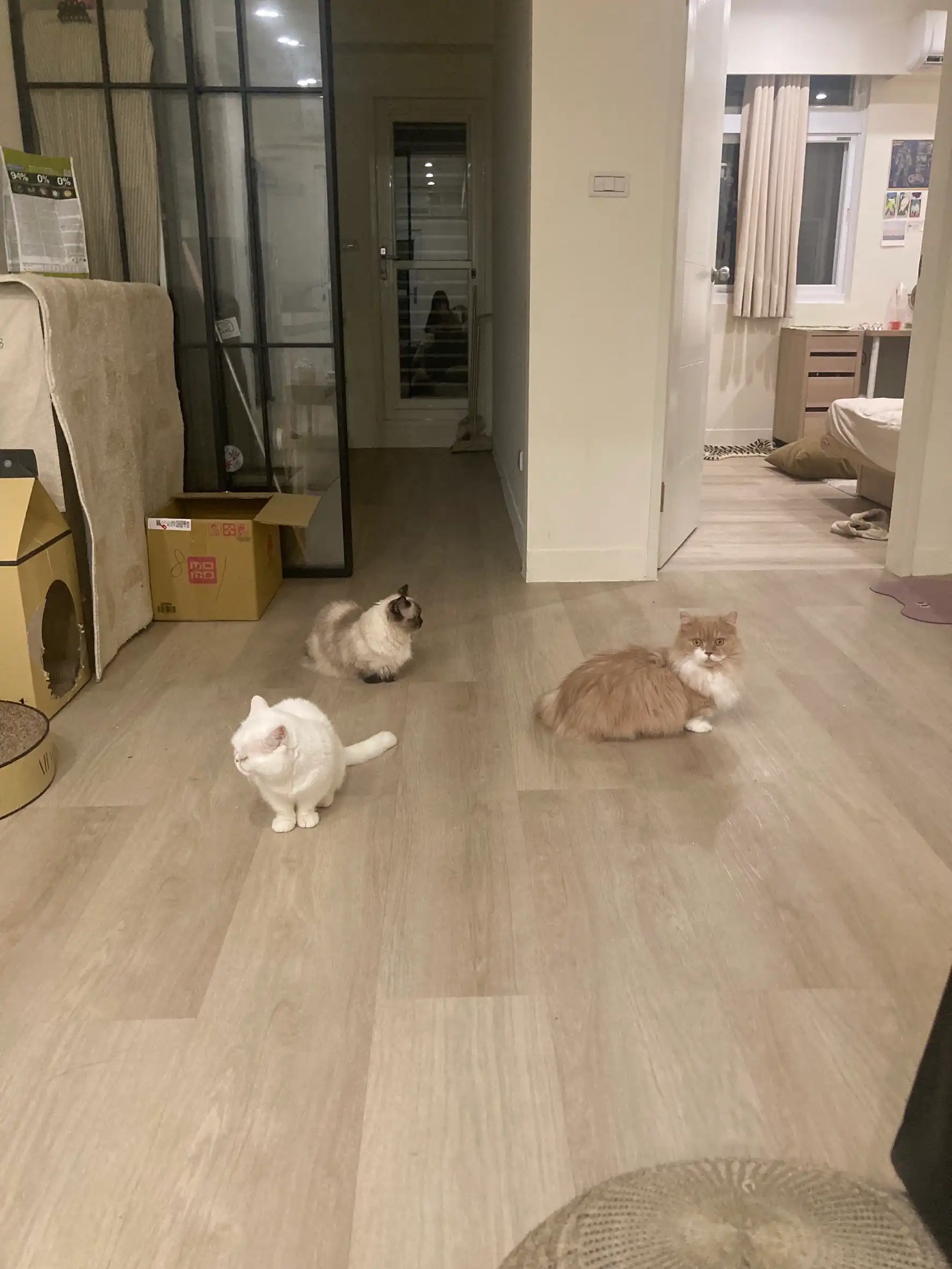 image-9