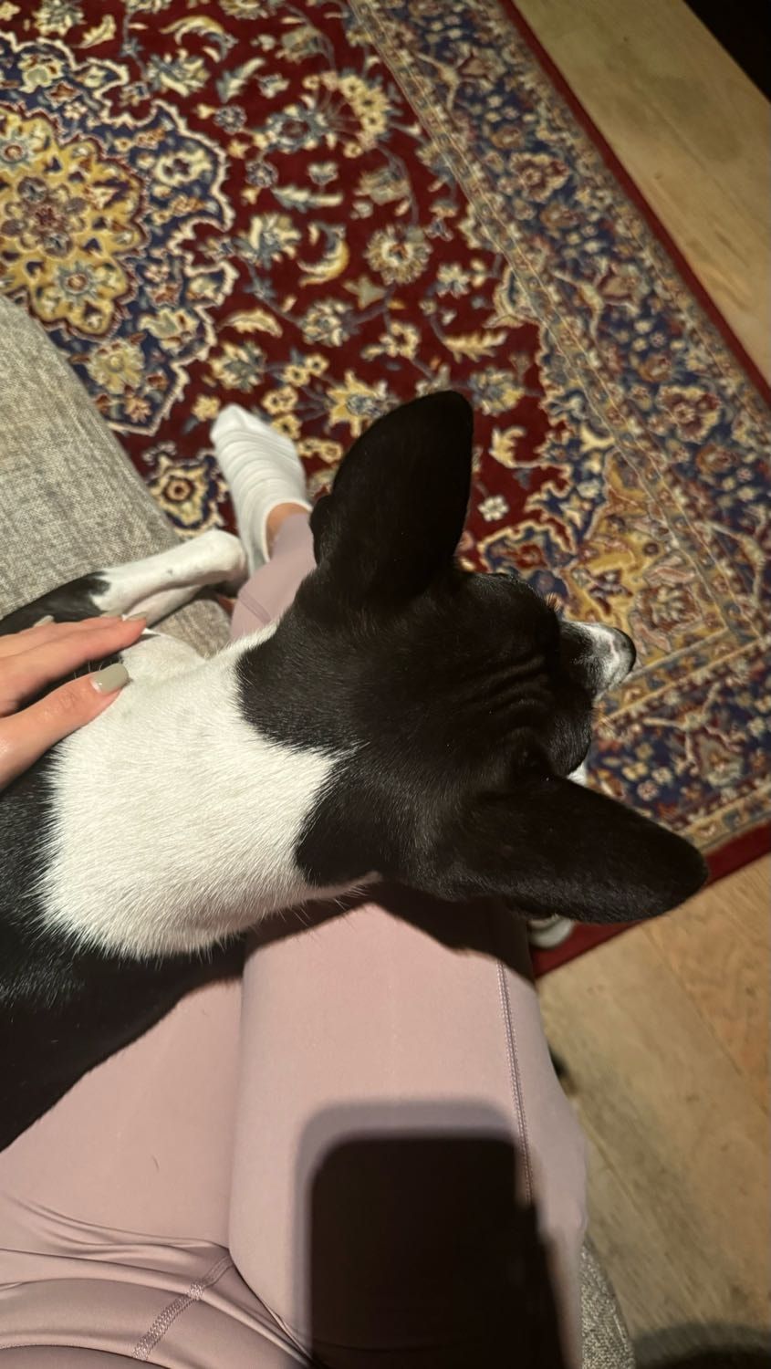 image-10