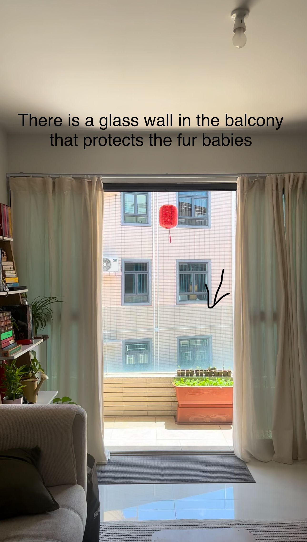 image-19