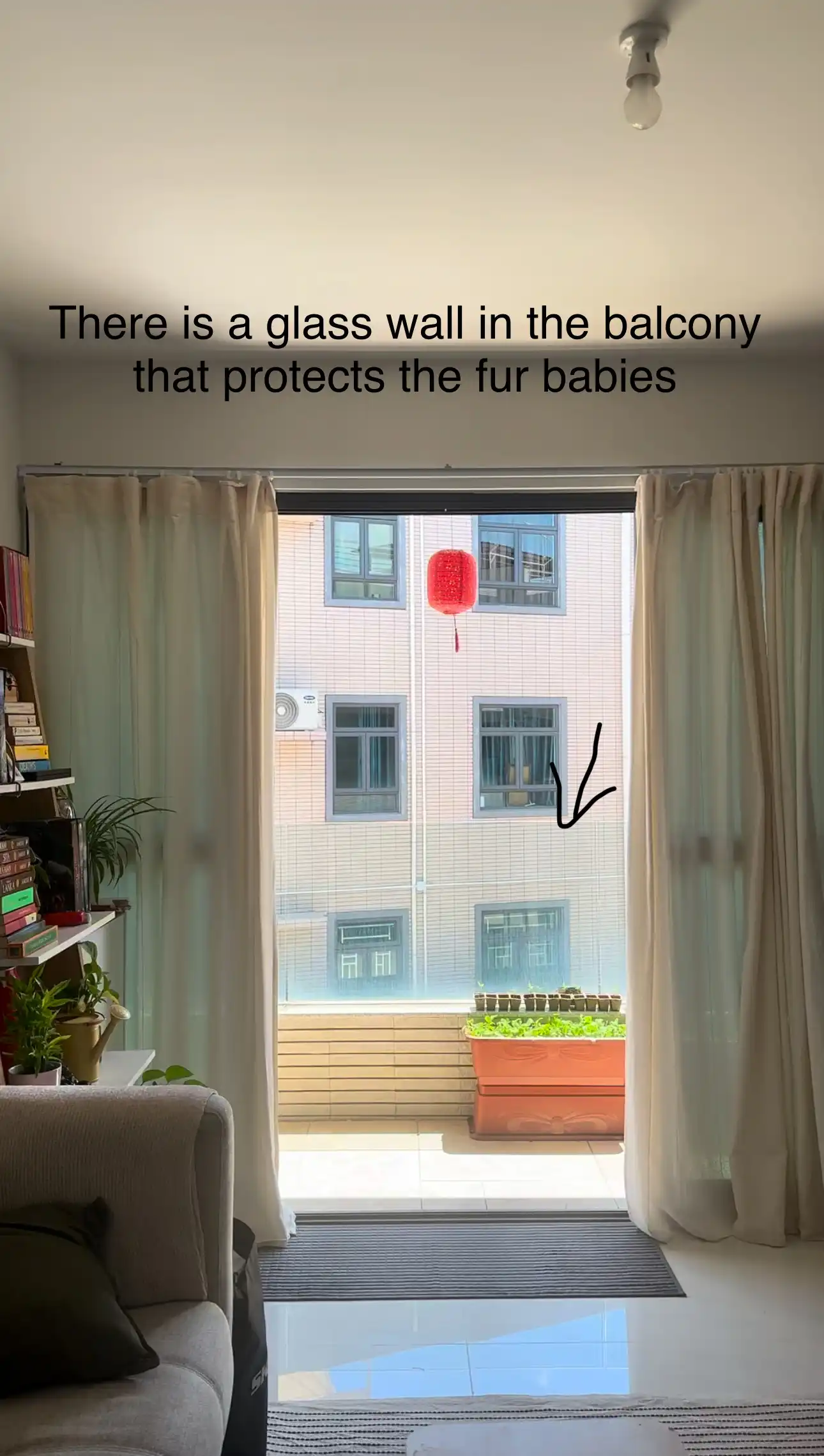 image-19