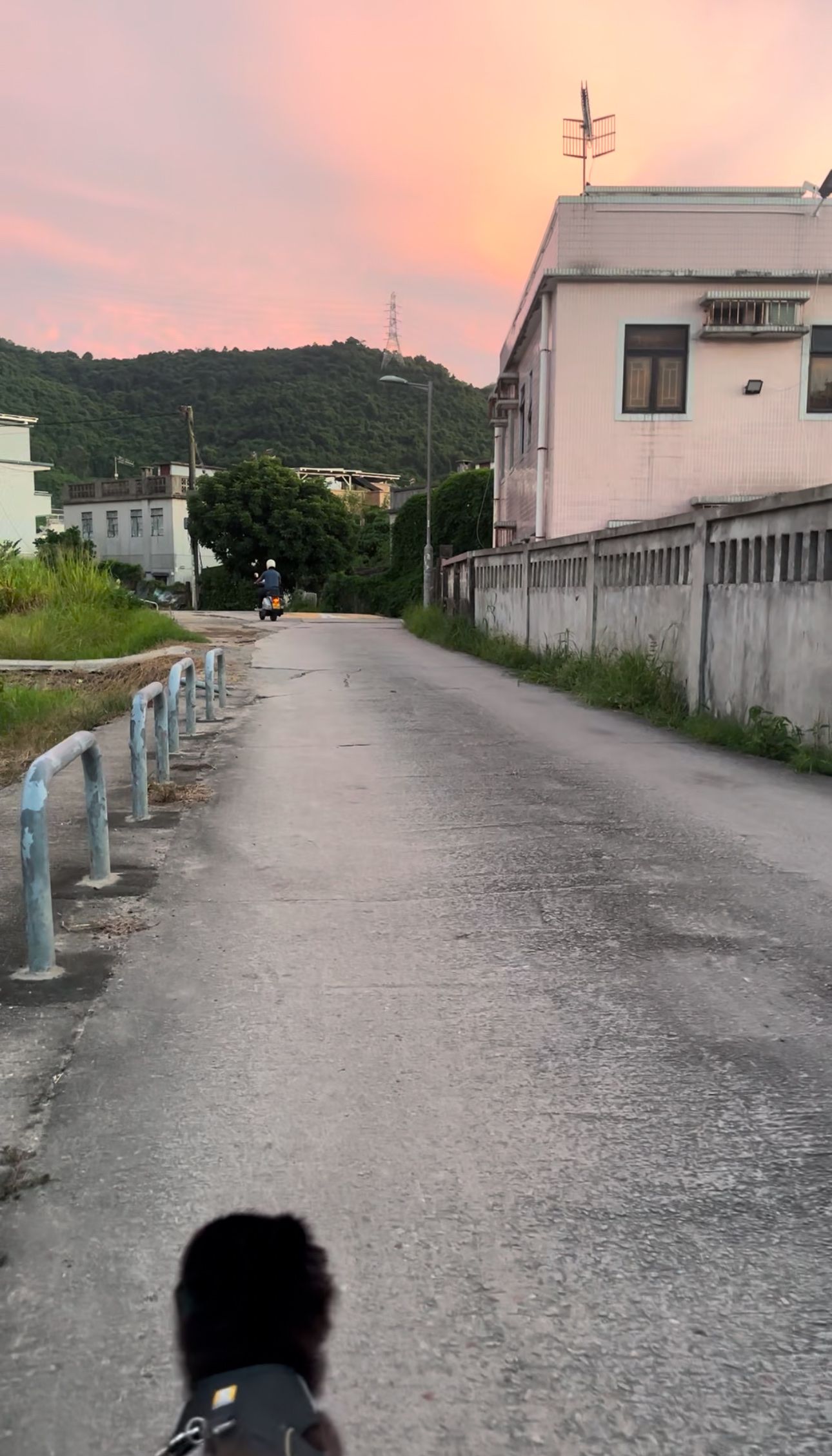 image-20