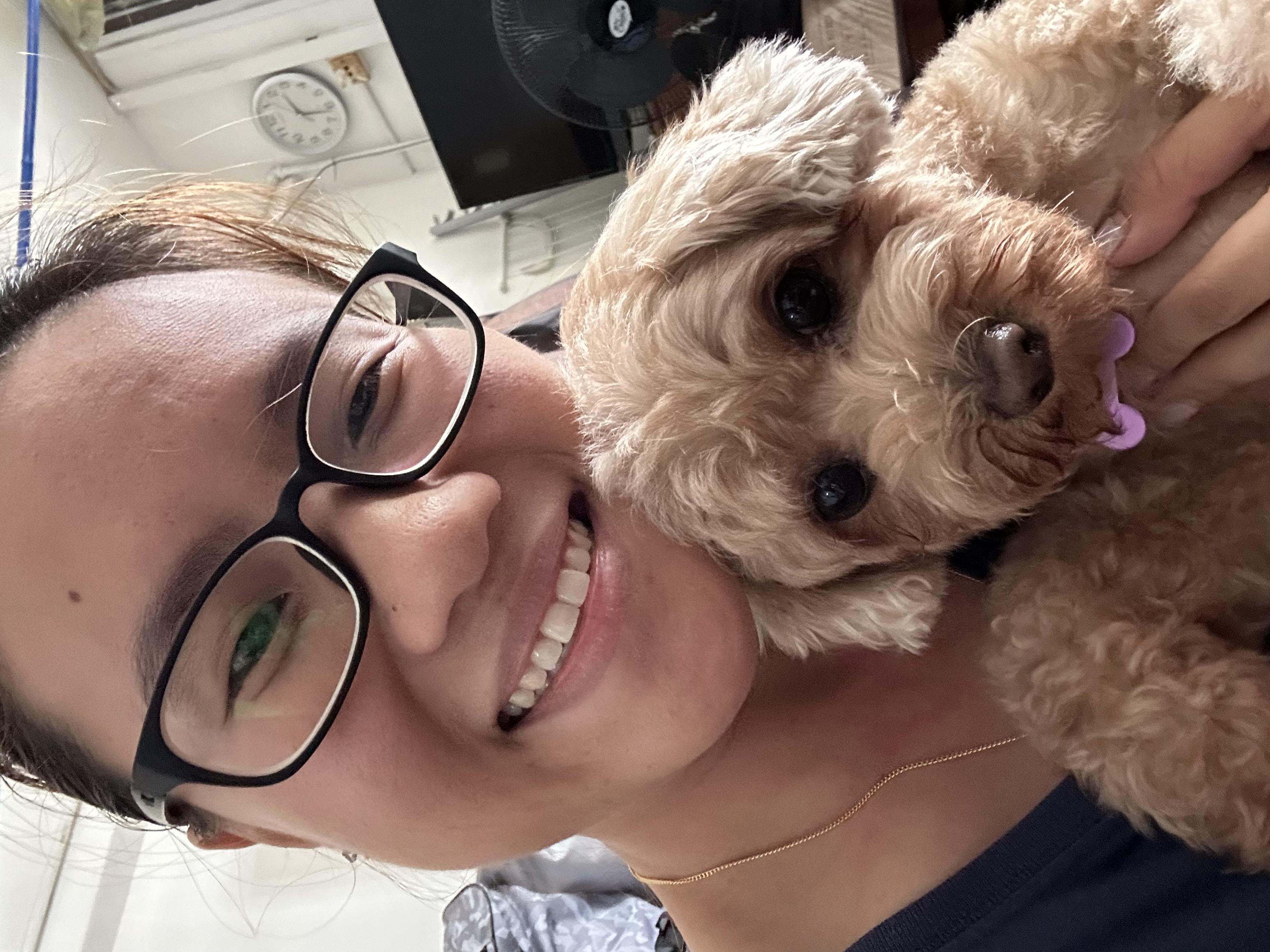 Pet Groomer Pampered Paws Dog Boarding Pet Groomers Pampered Pups