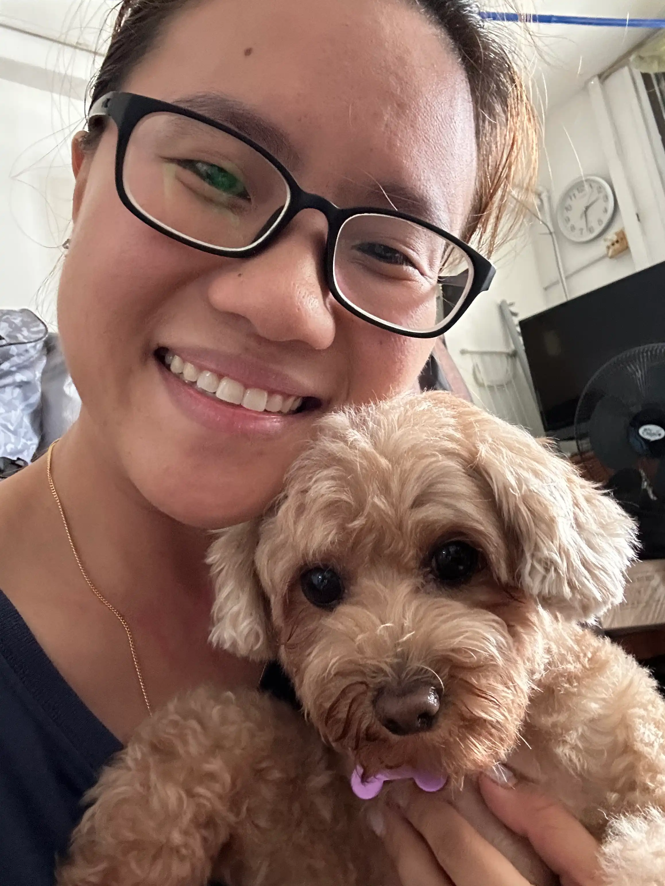 Pet Groomer Pampered Paws Dog Boarding Pet Groomers Pampered Pups