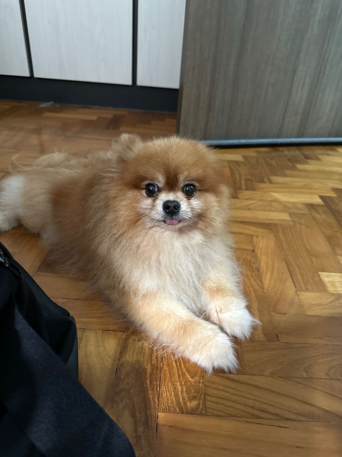 image-9