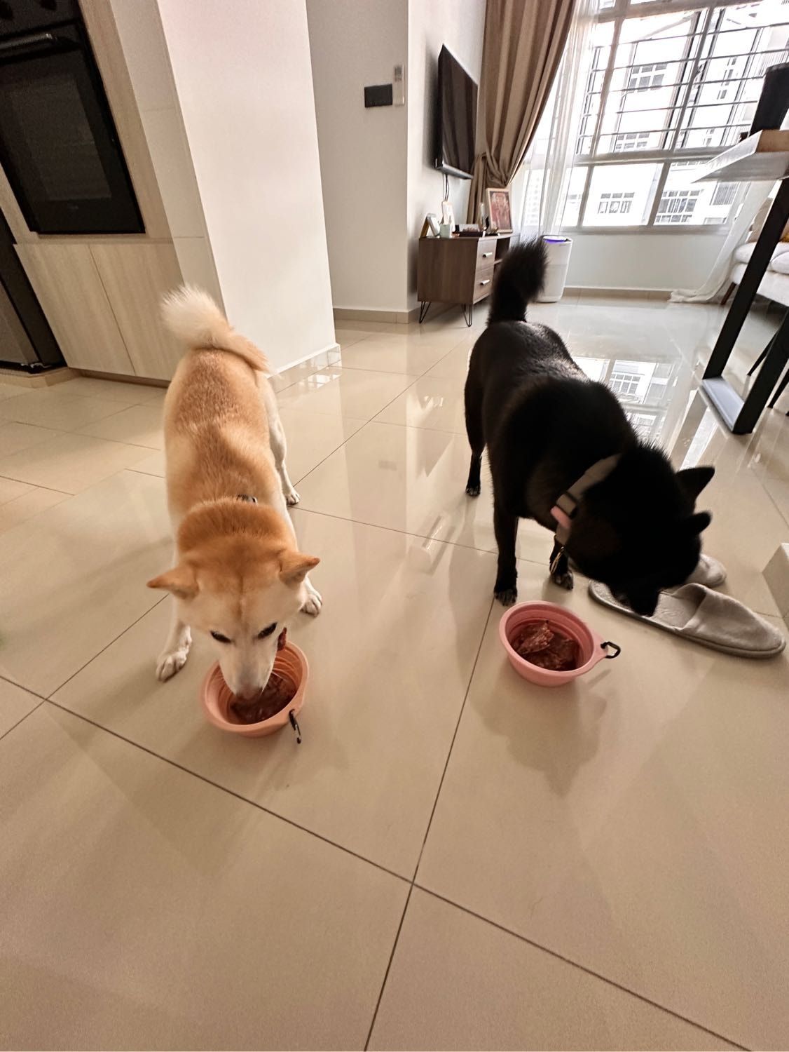 image-18