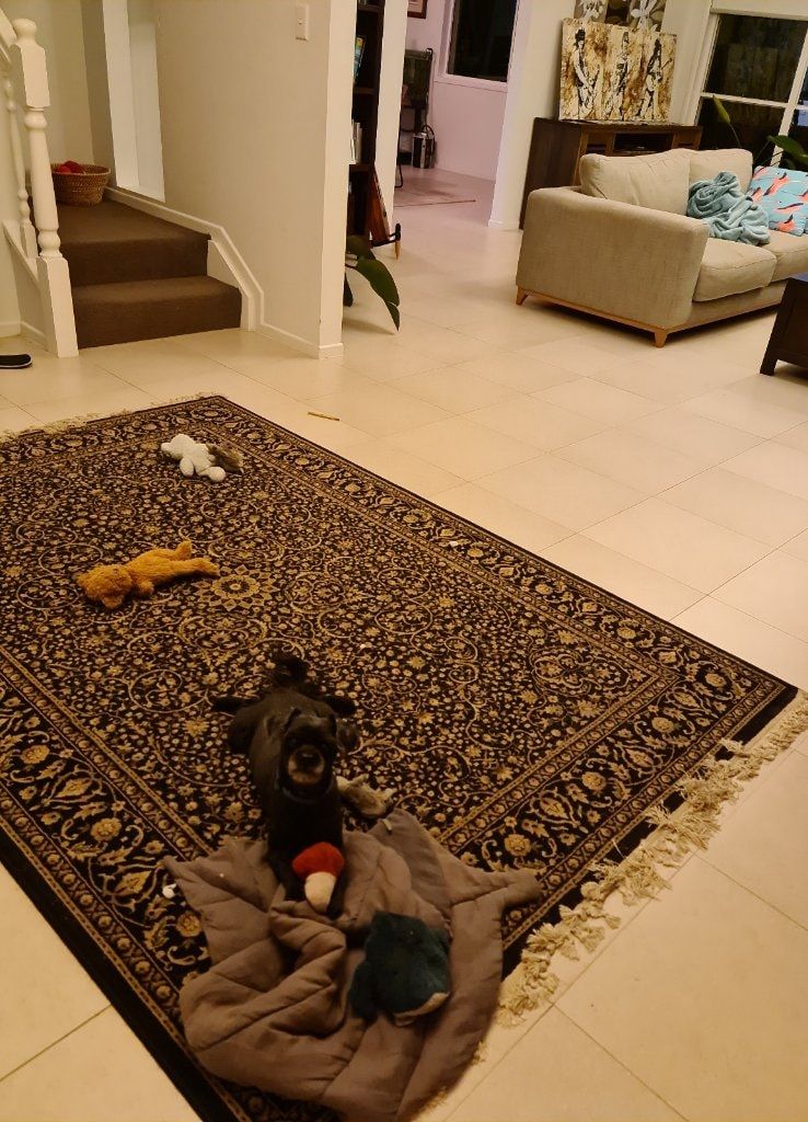 image-4