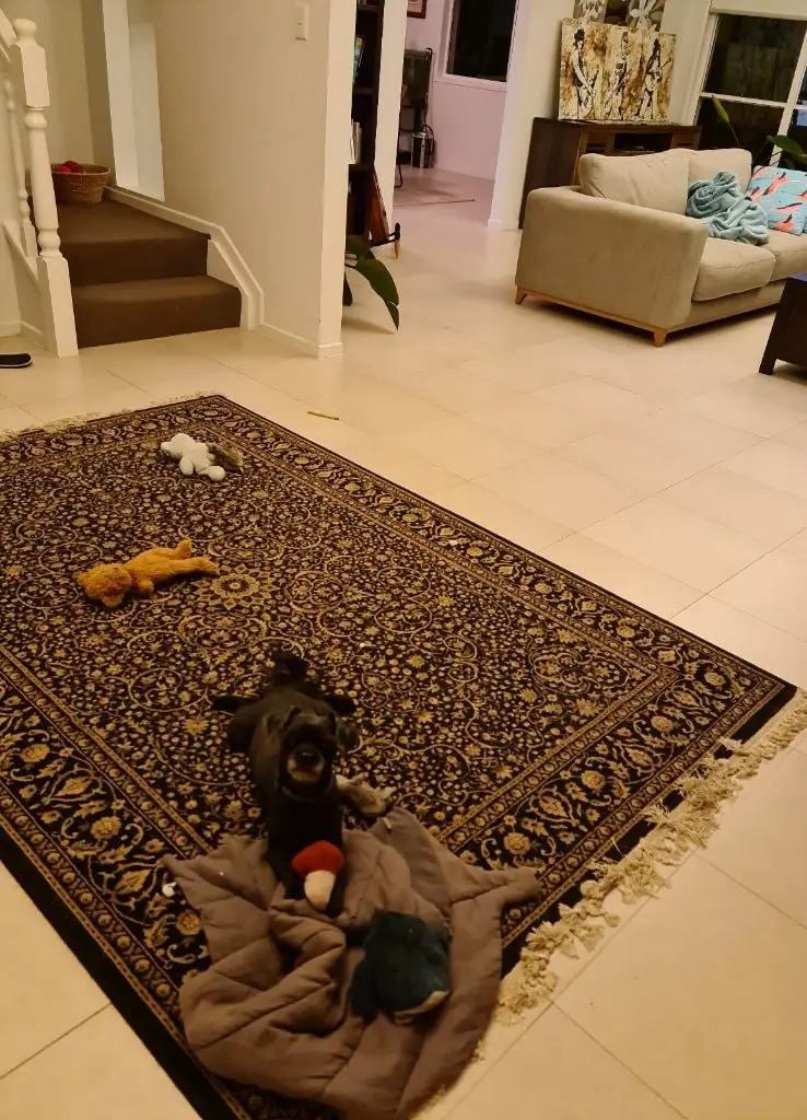 image-4