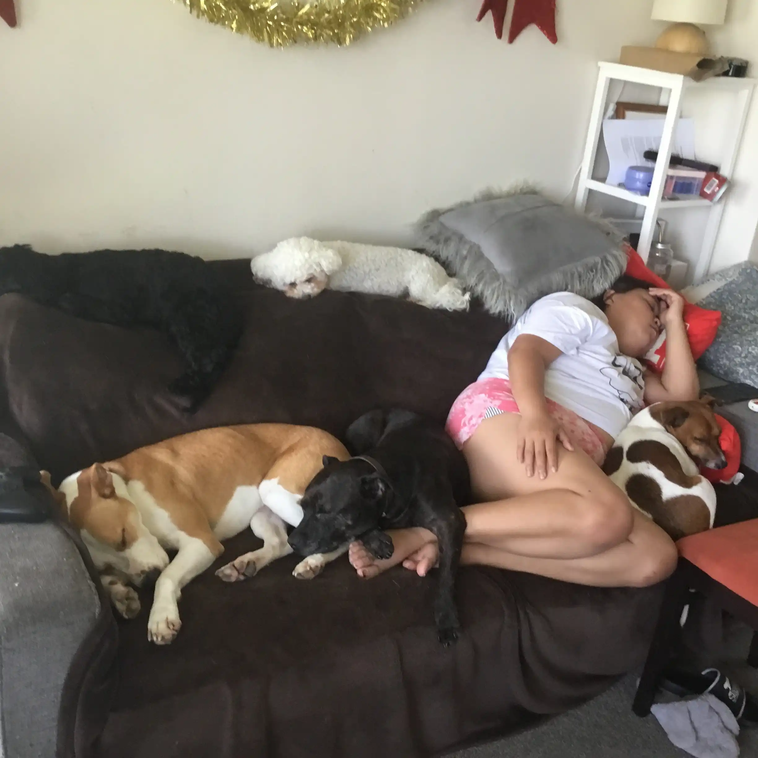 Legged Friends Daycare And Boarding April Geoff Pet Sitter In