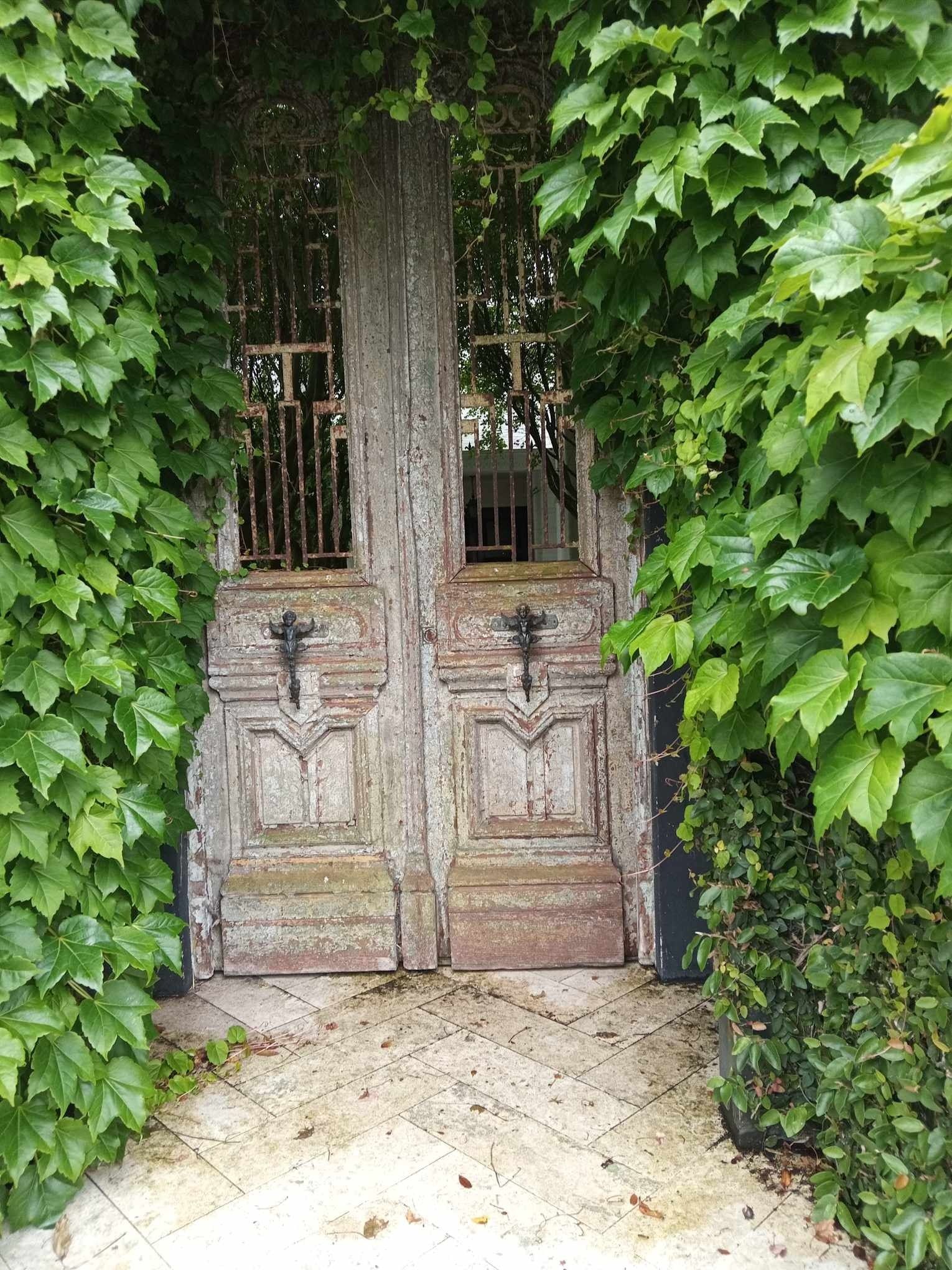 image-3