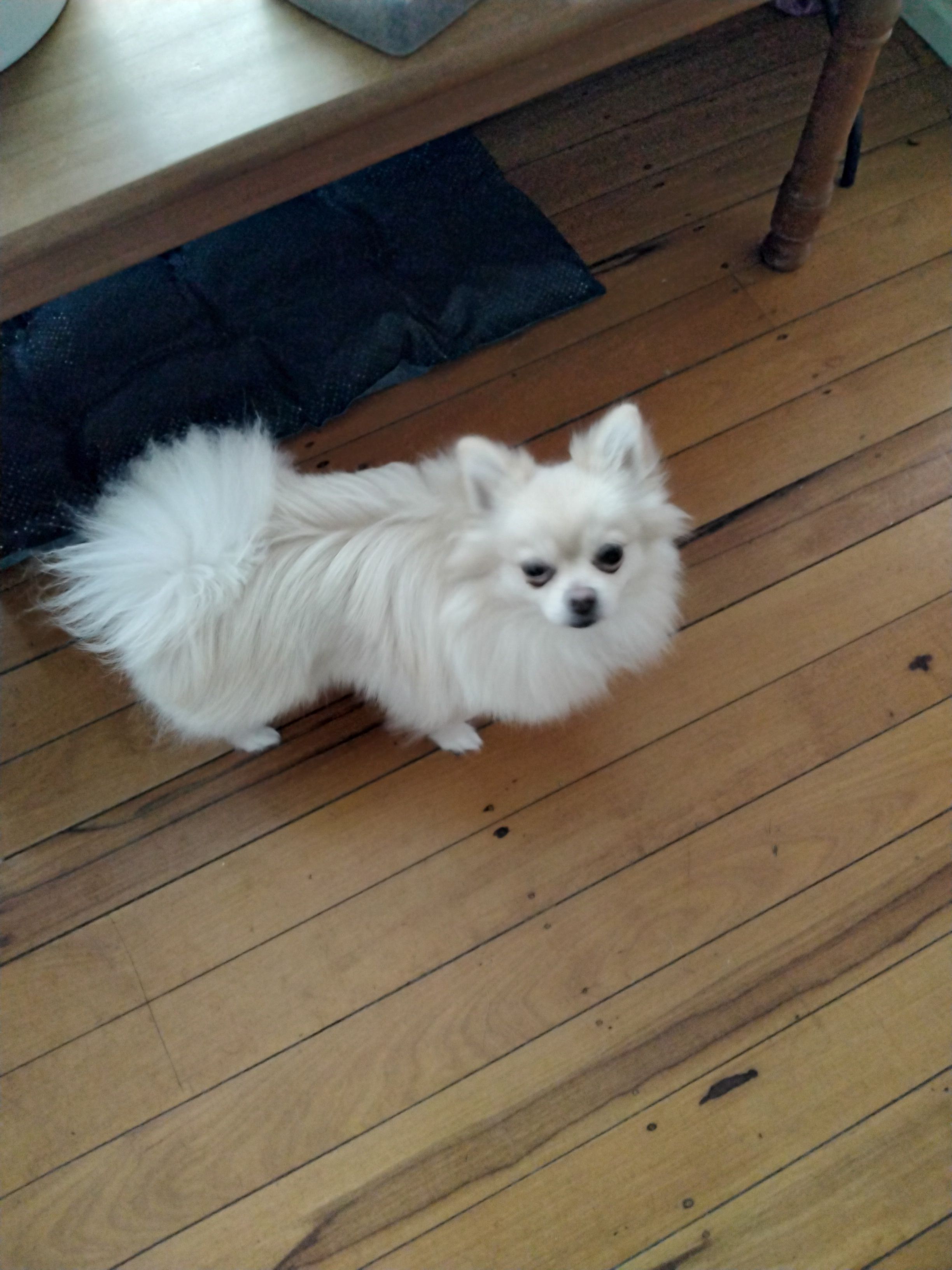 image-11