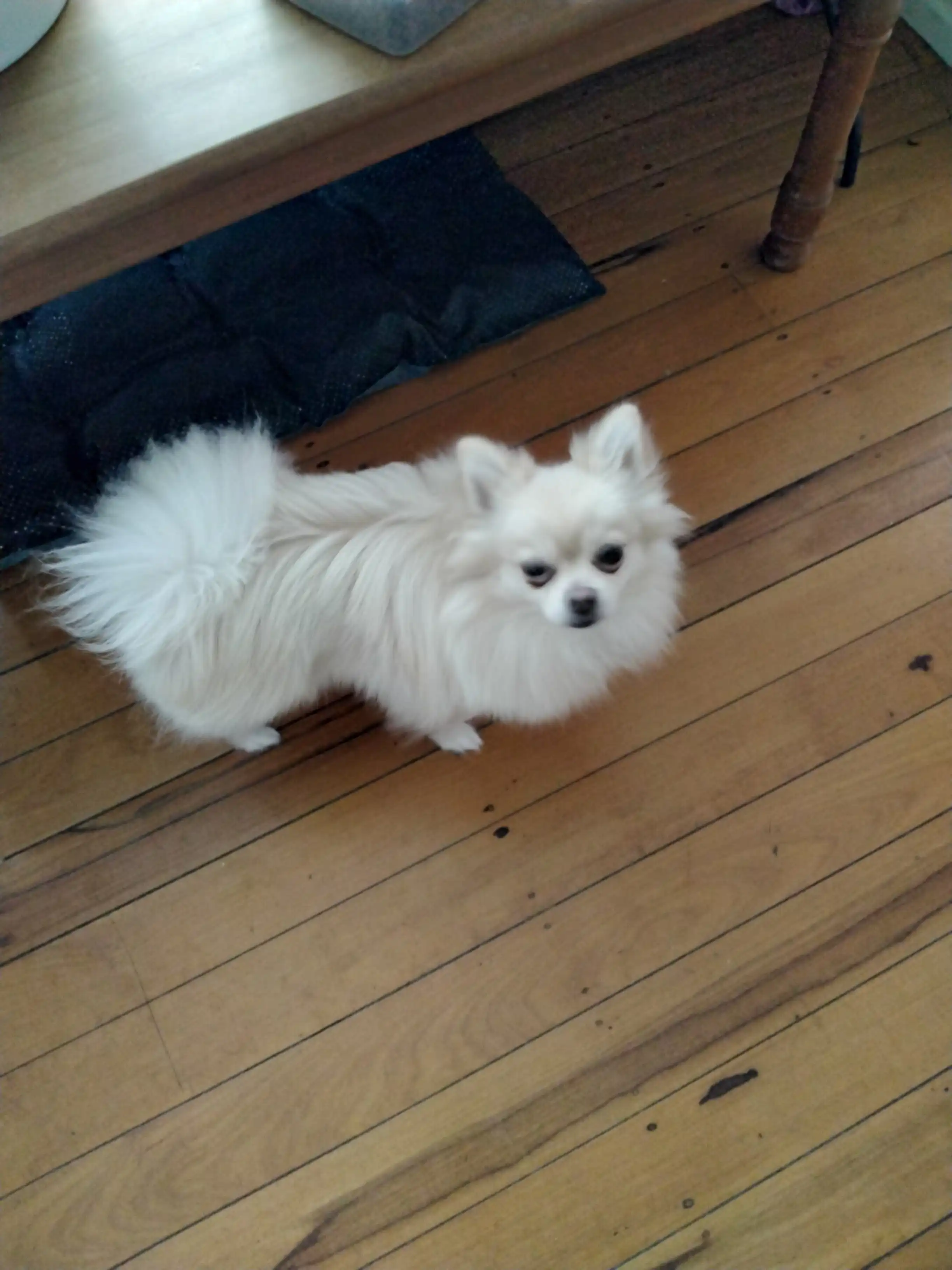 image-11
