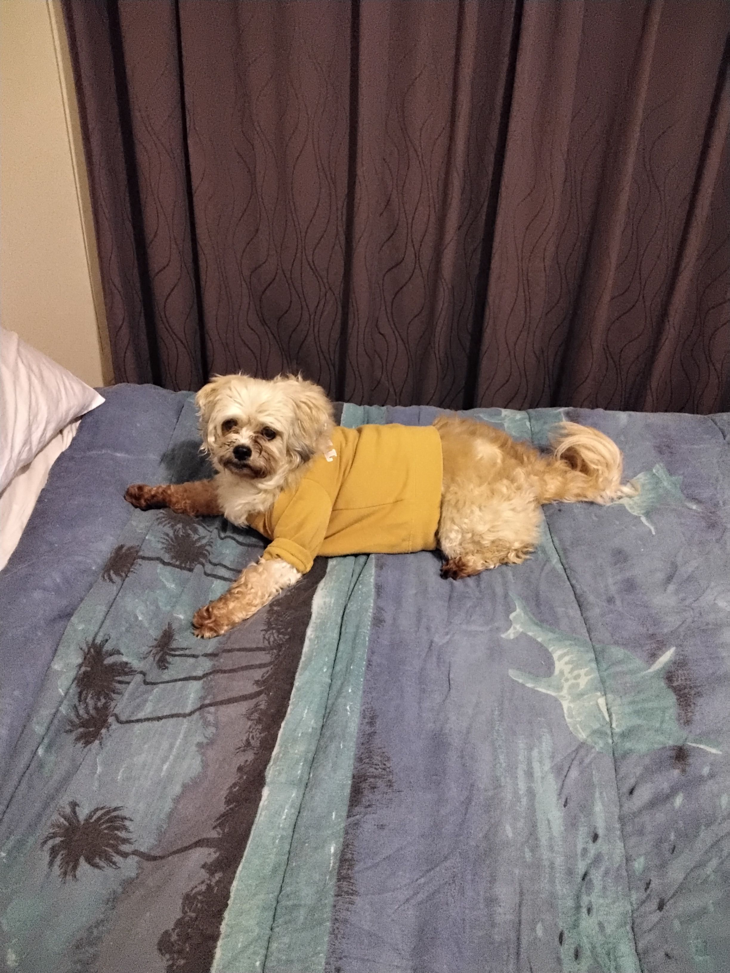 image-13