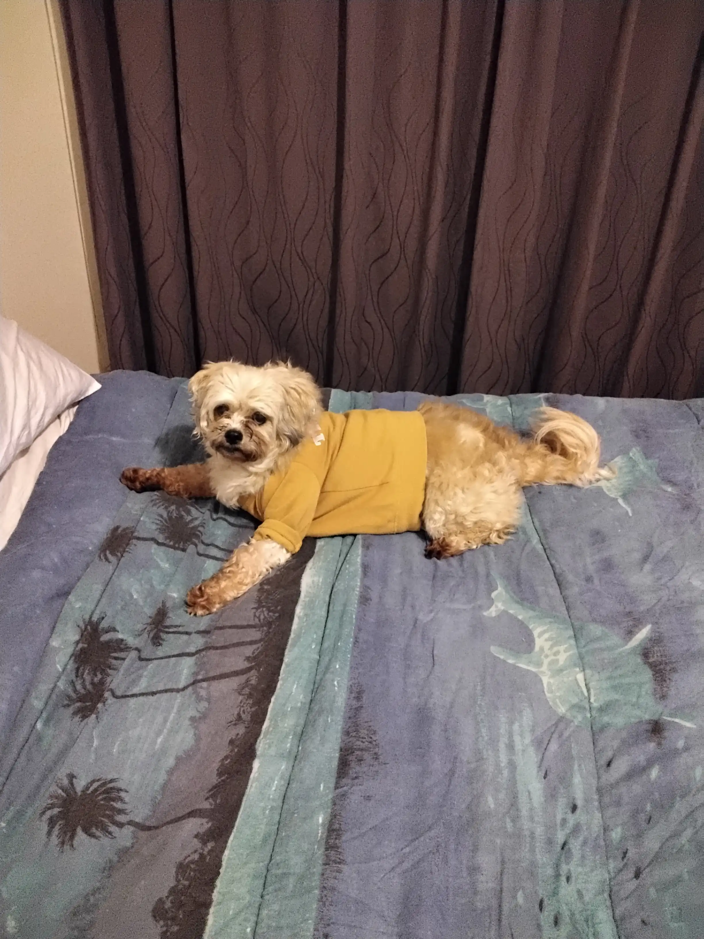 image-13