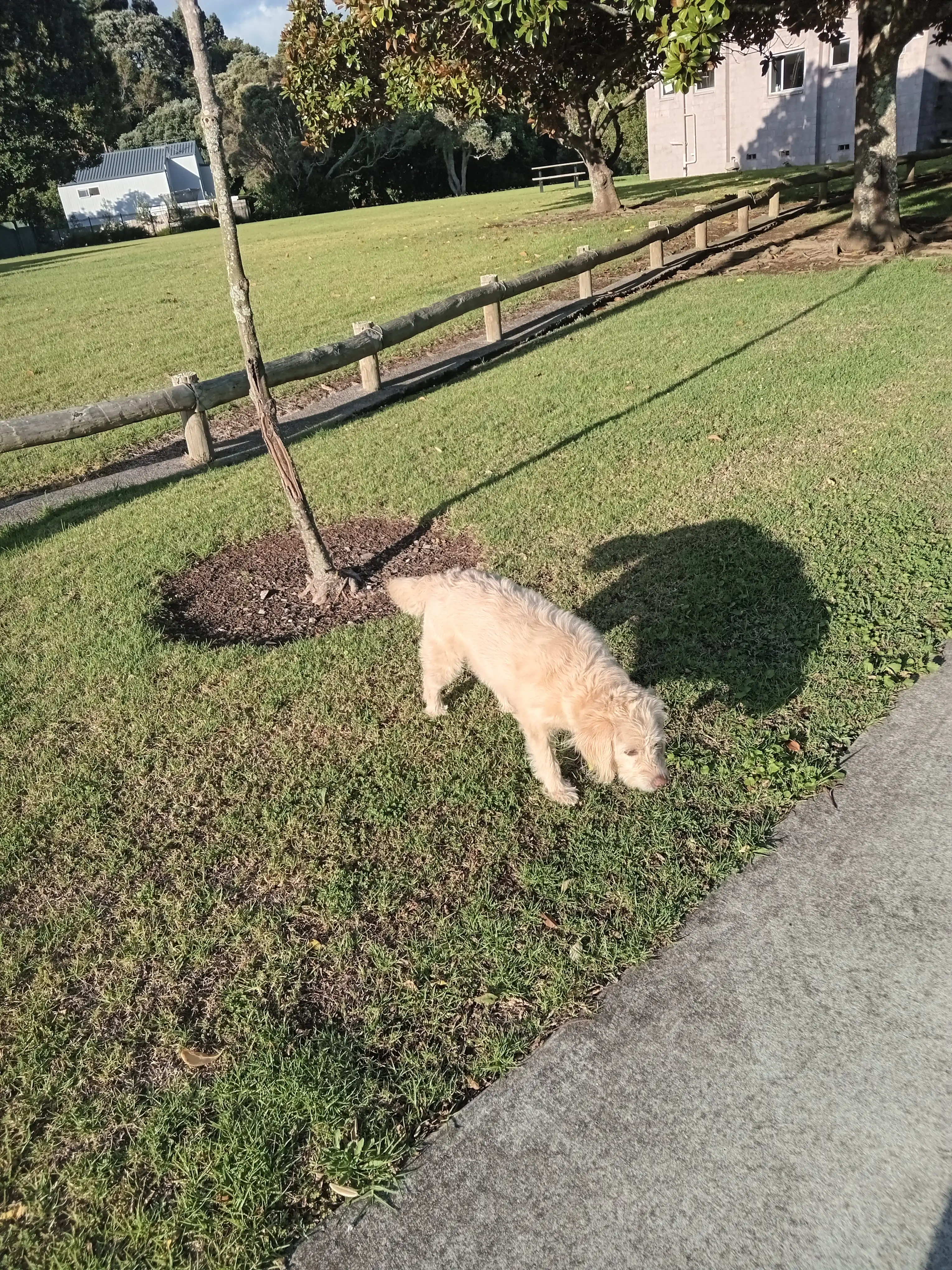 image-47