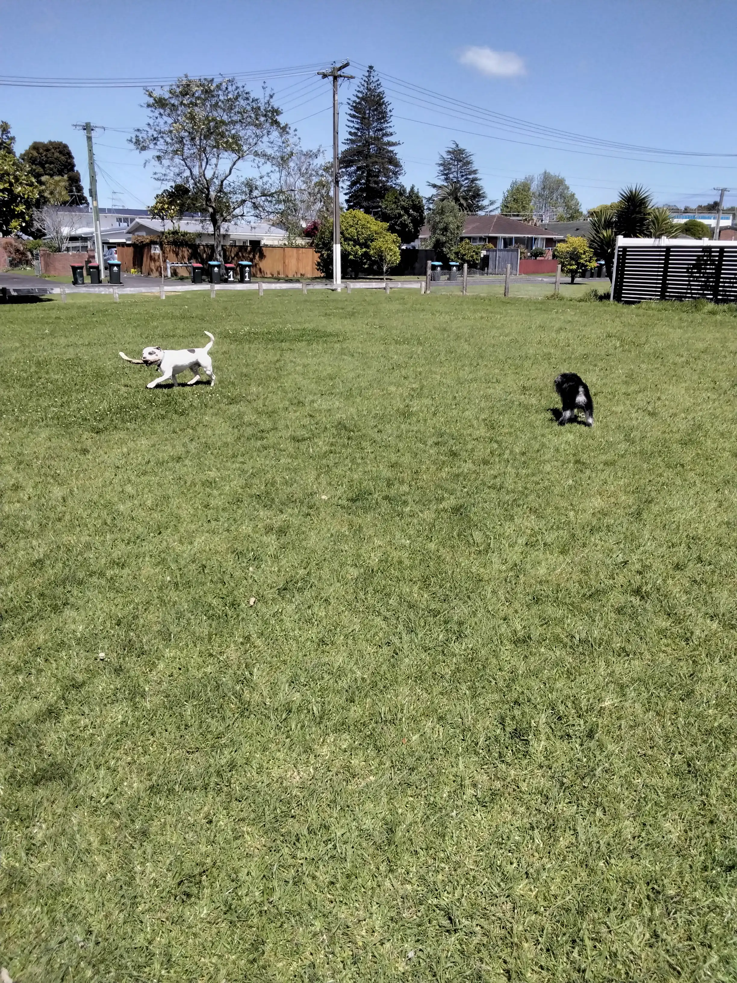 image-18