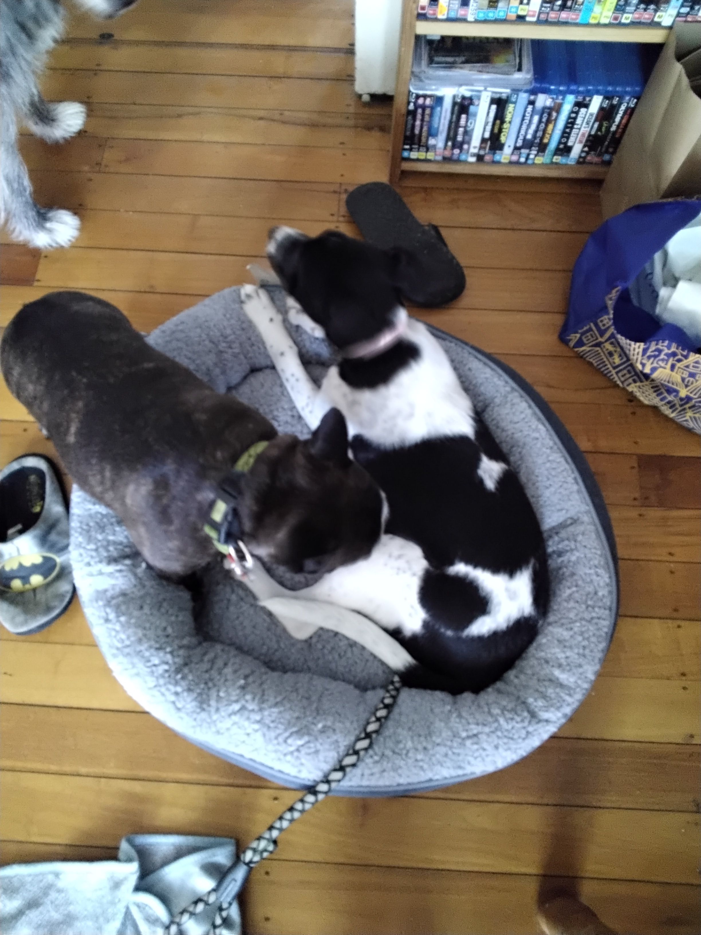 image-5