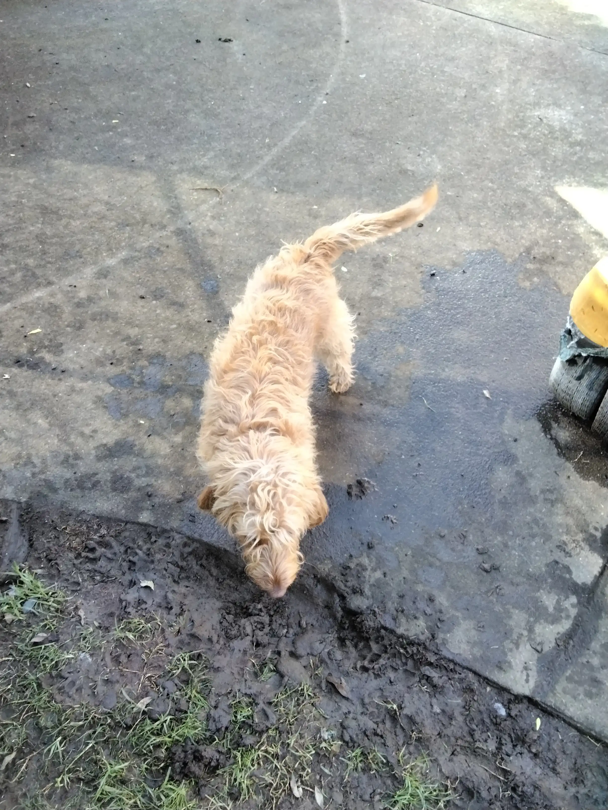 image-9