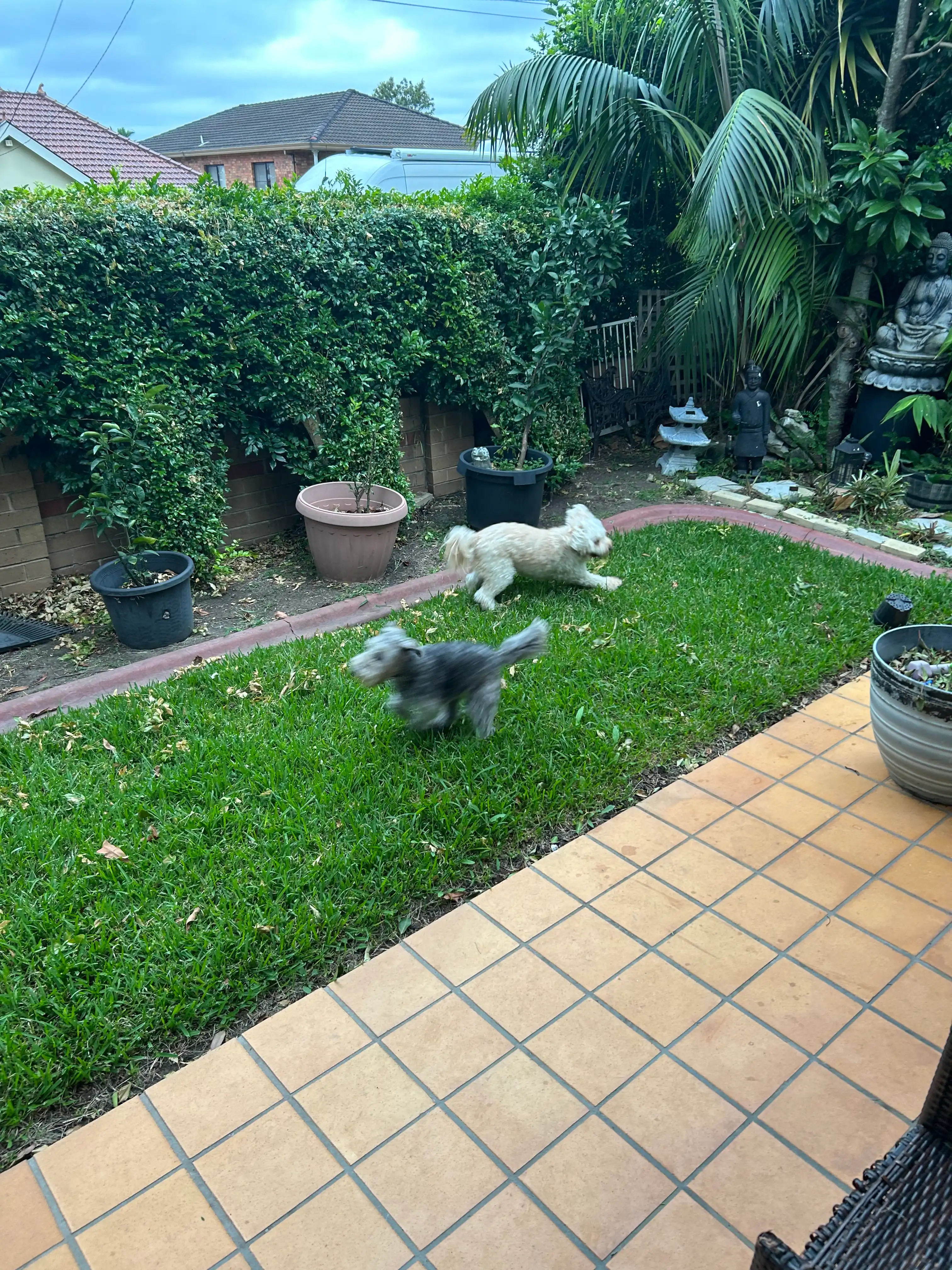 image-27