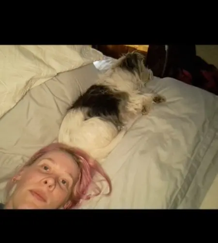 image-4