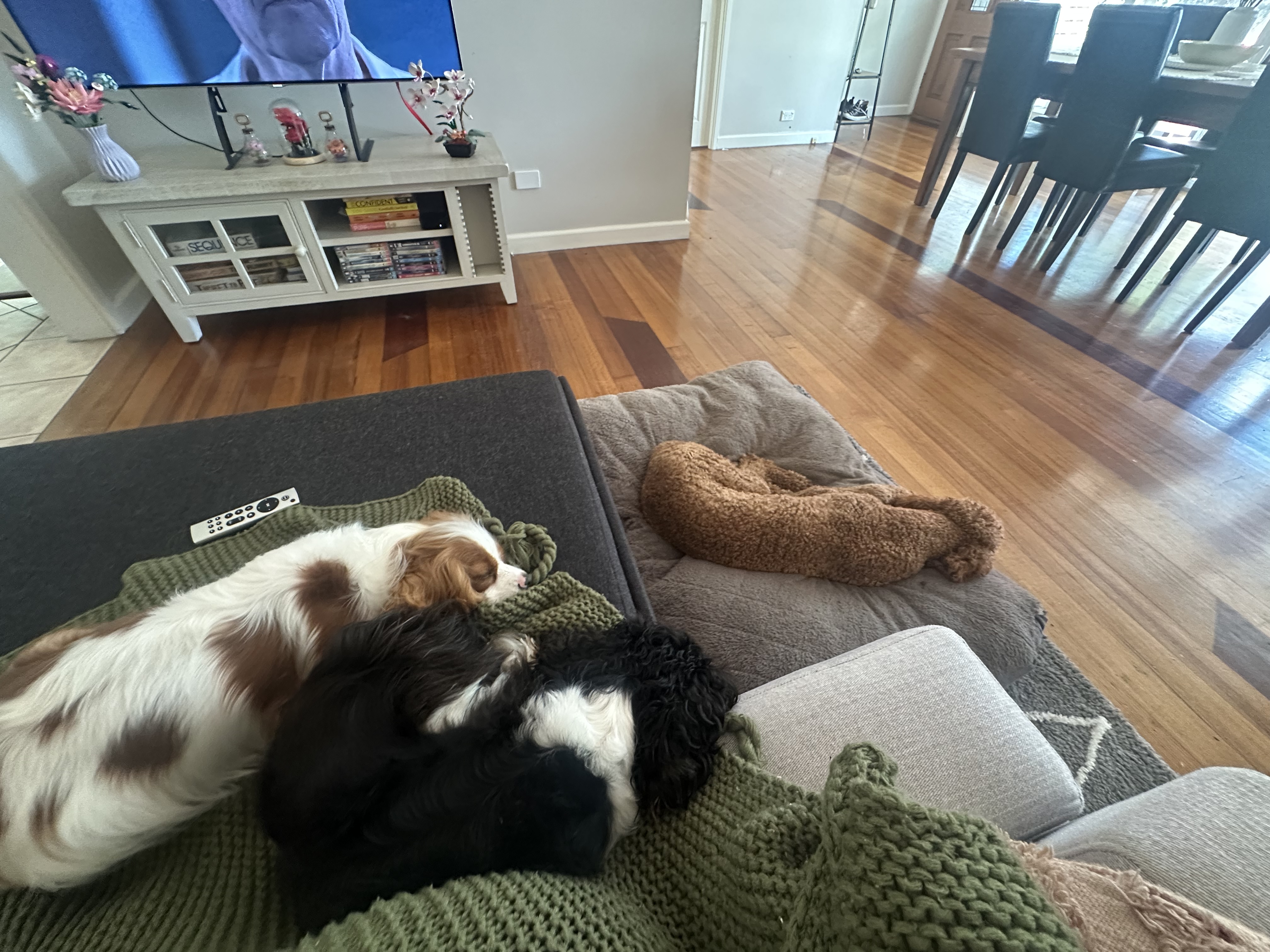 image-13