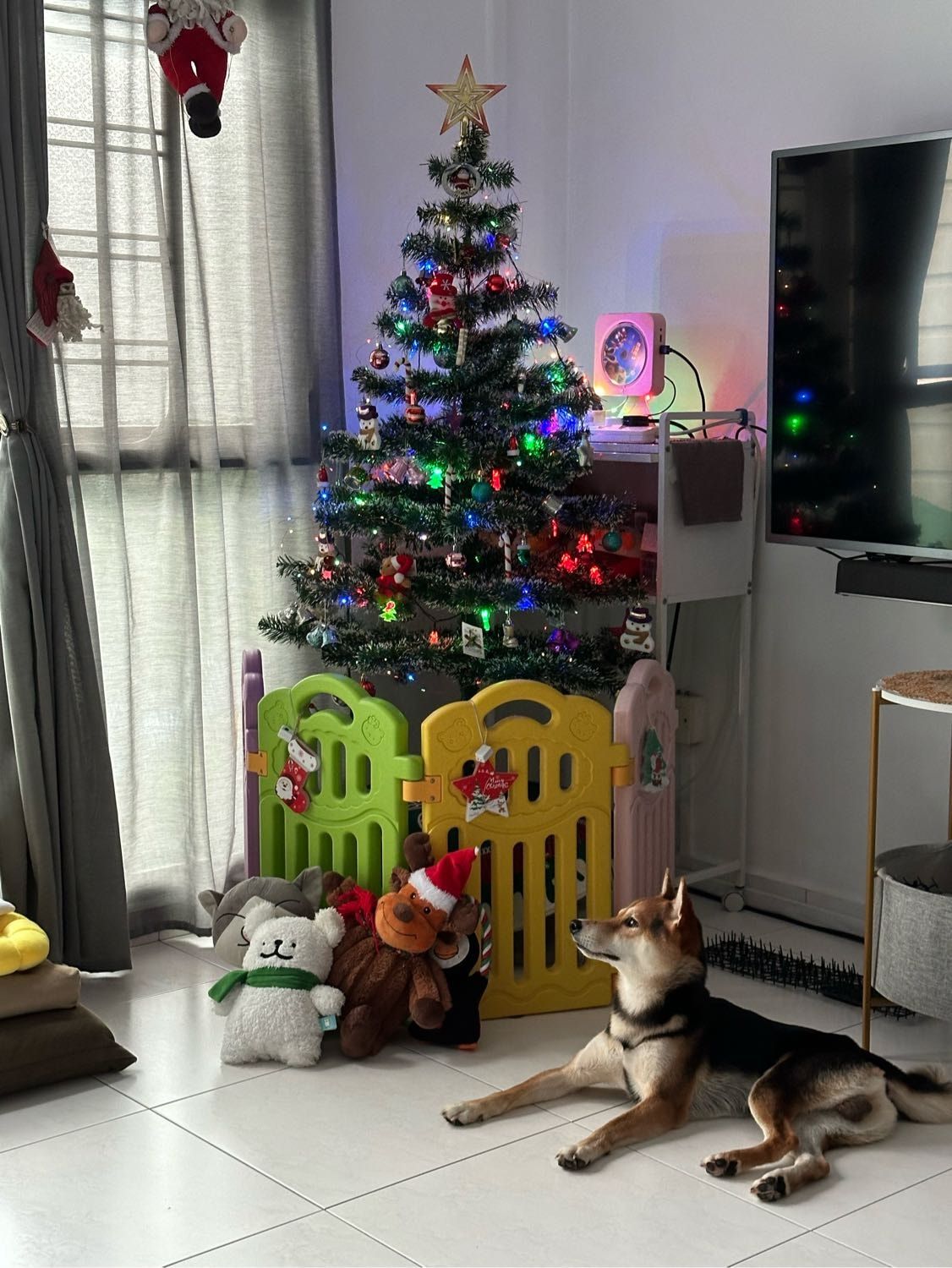 image-9