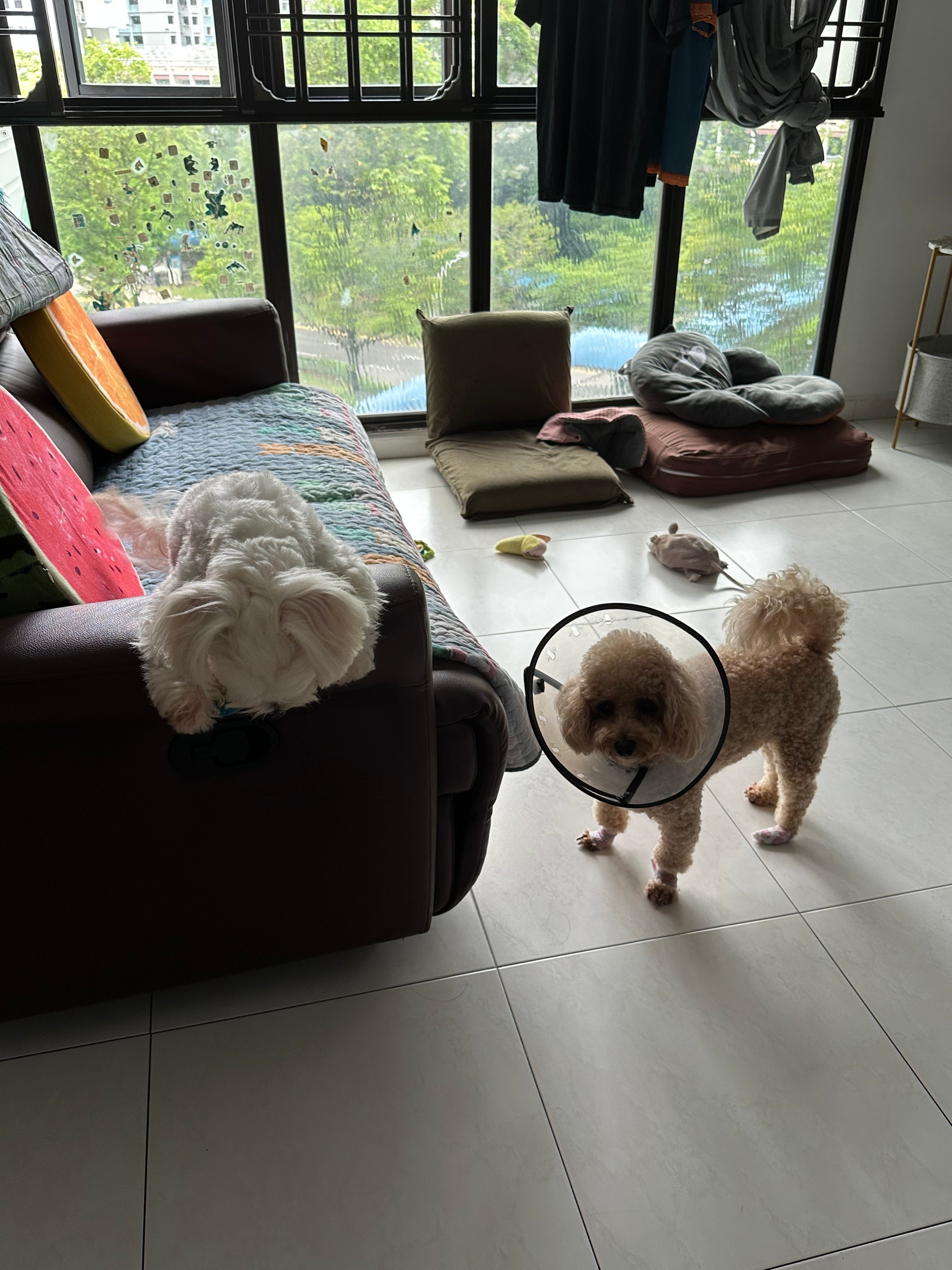 image-32