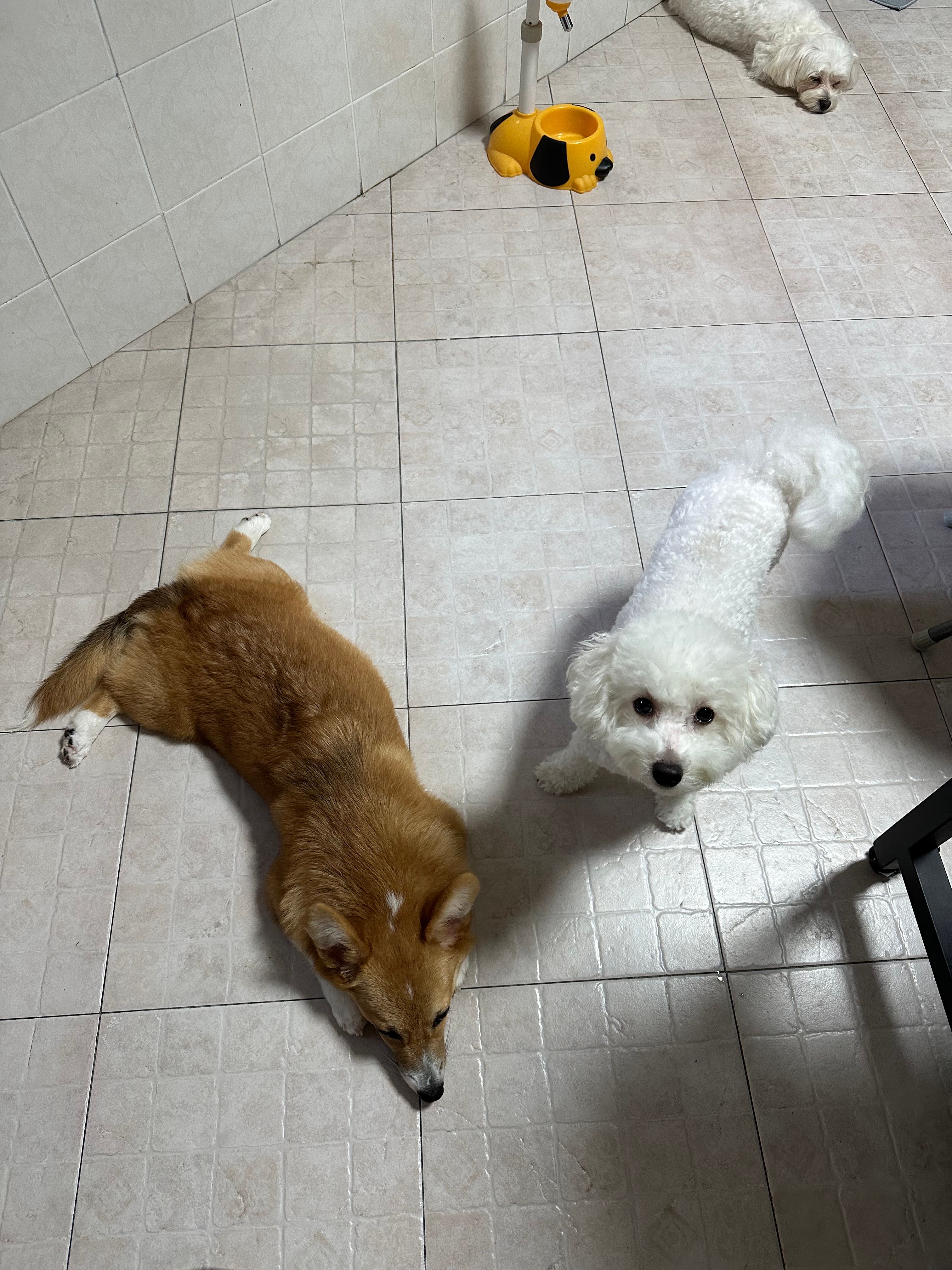 image-17