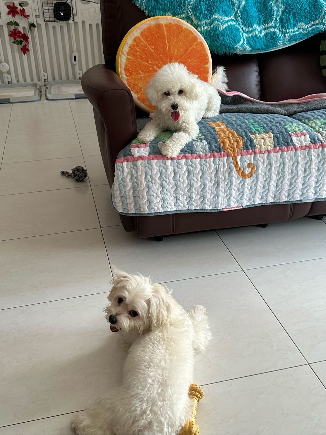 image-3