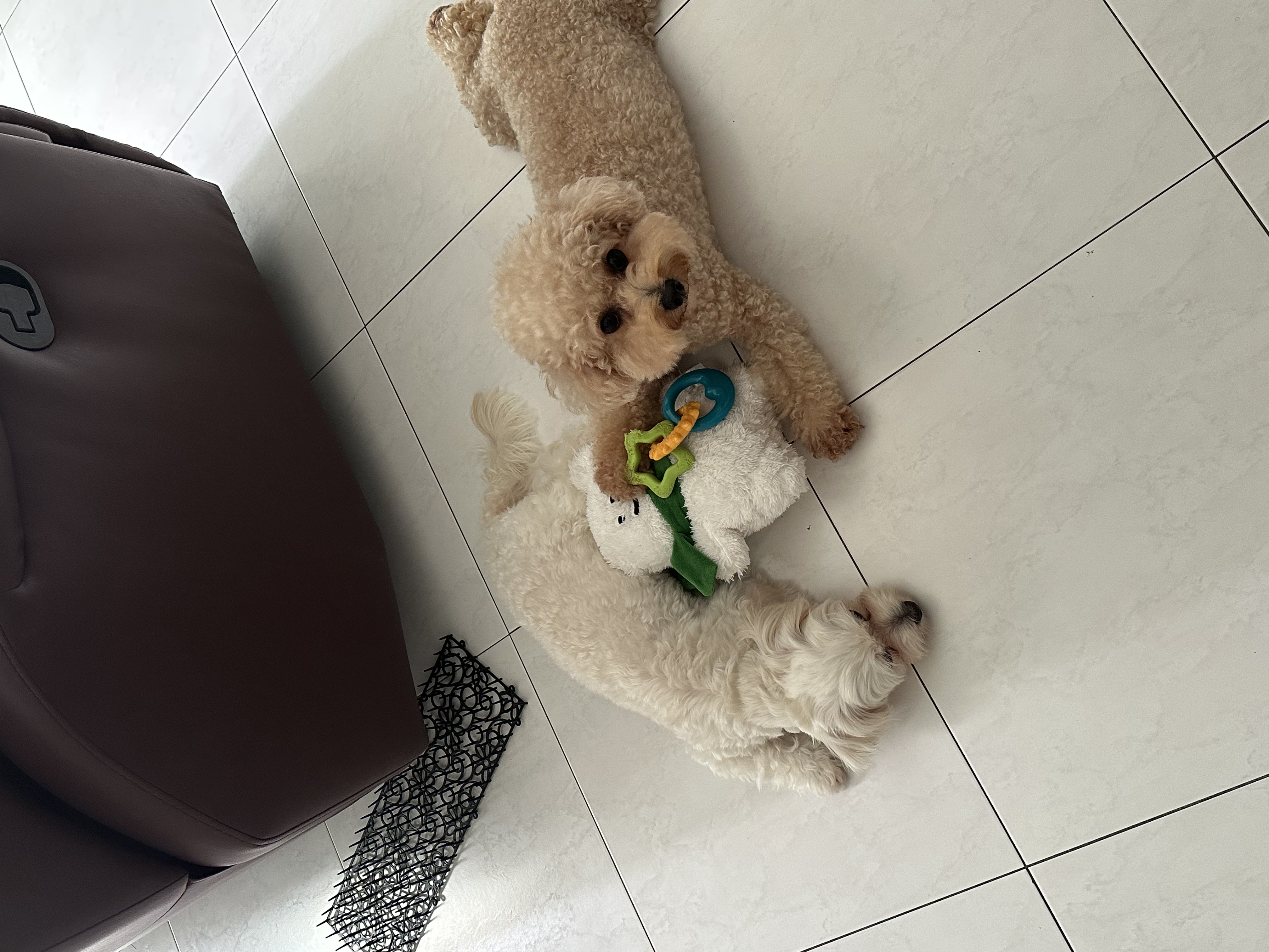 image-38