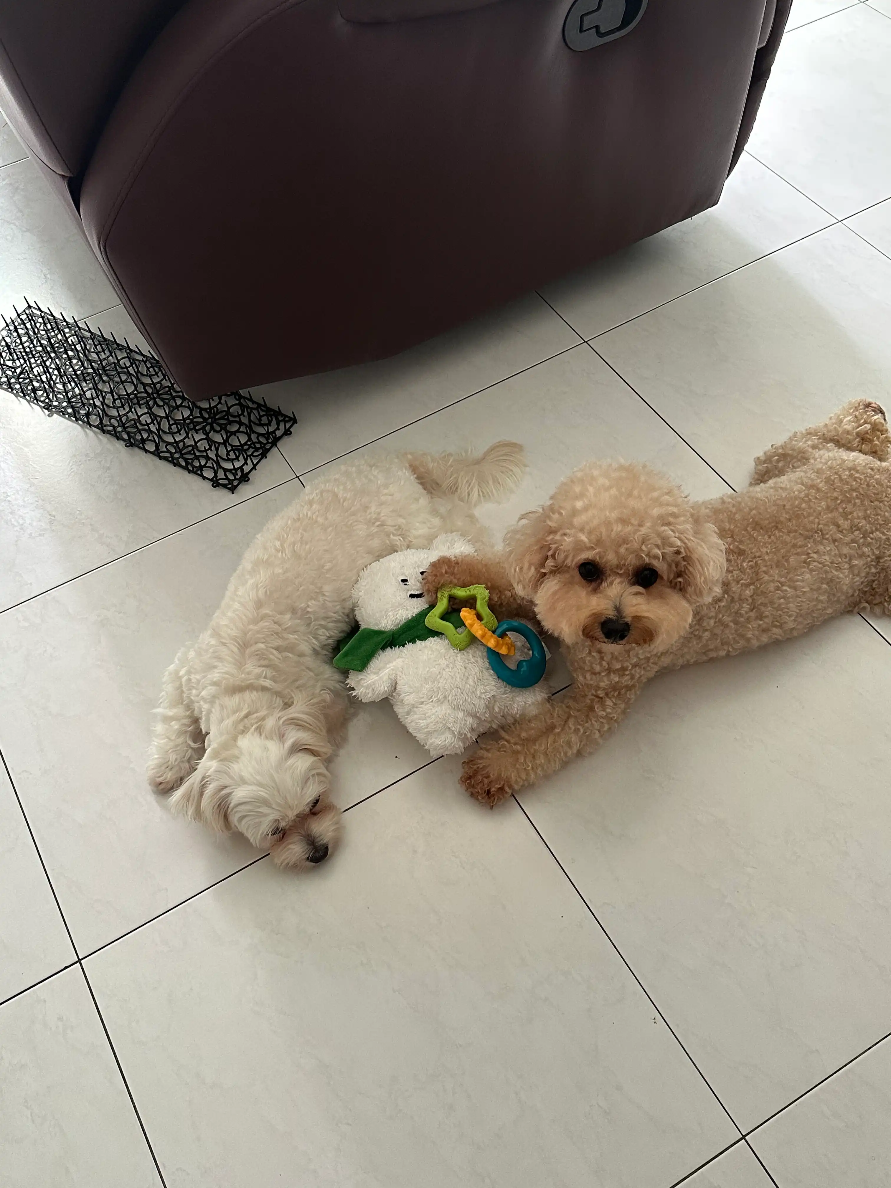 image-38