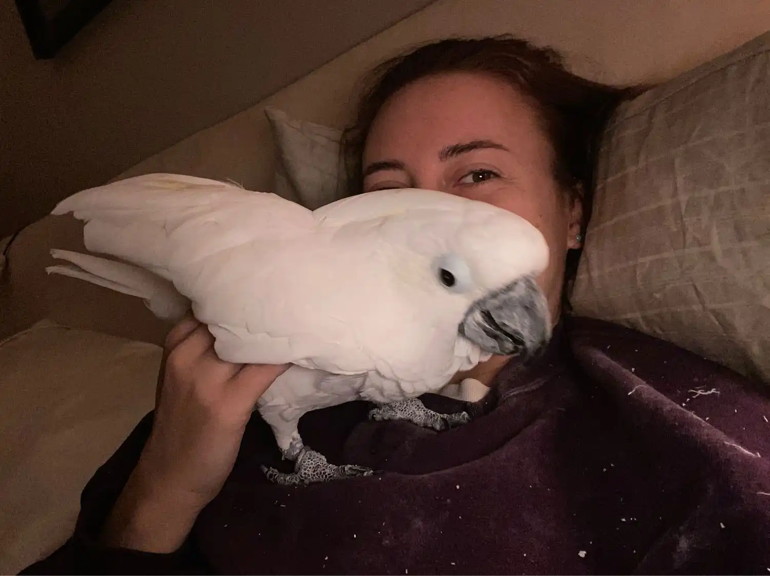 image-13