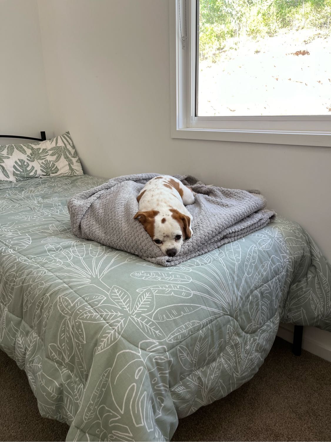image-14