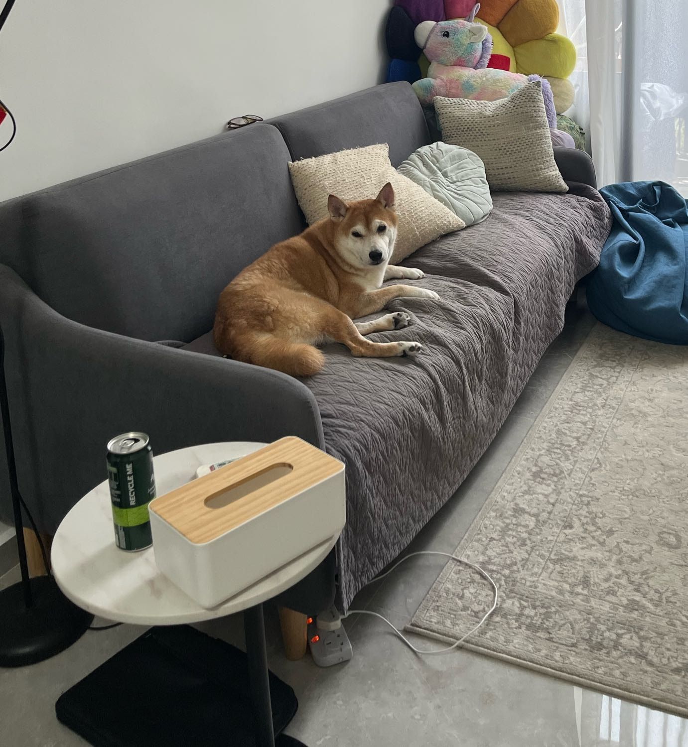 image-6