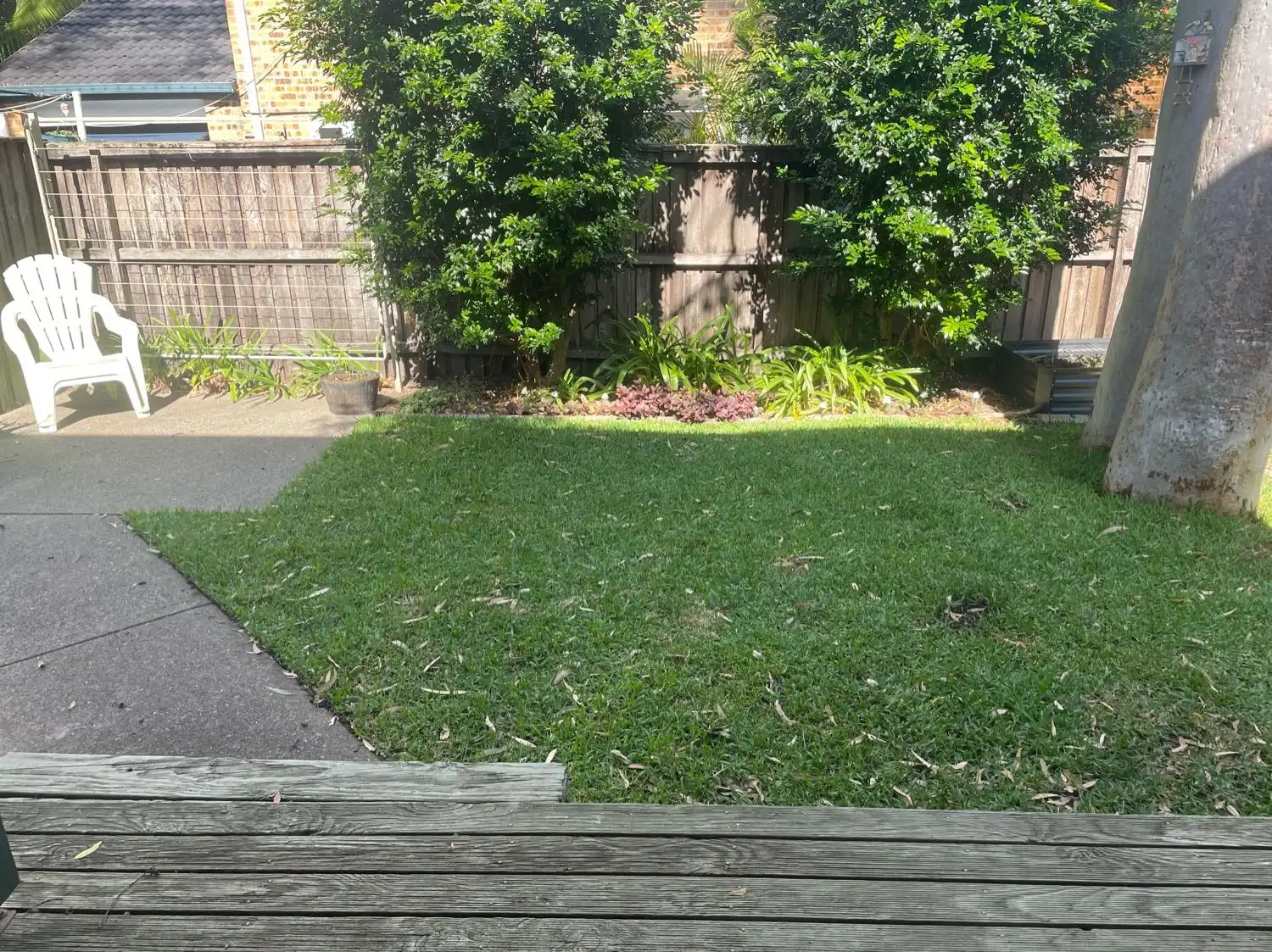 image-7