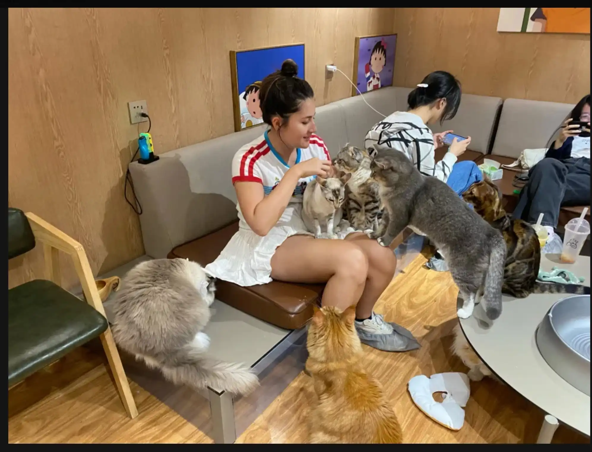 image-6