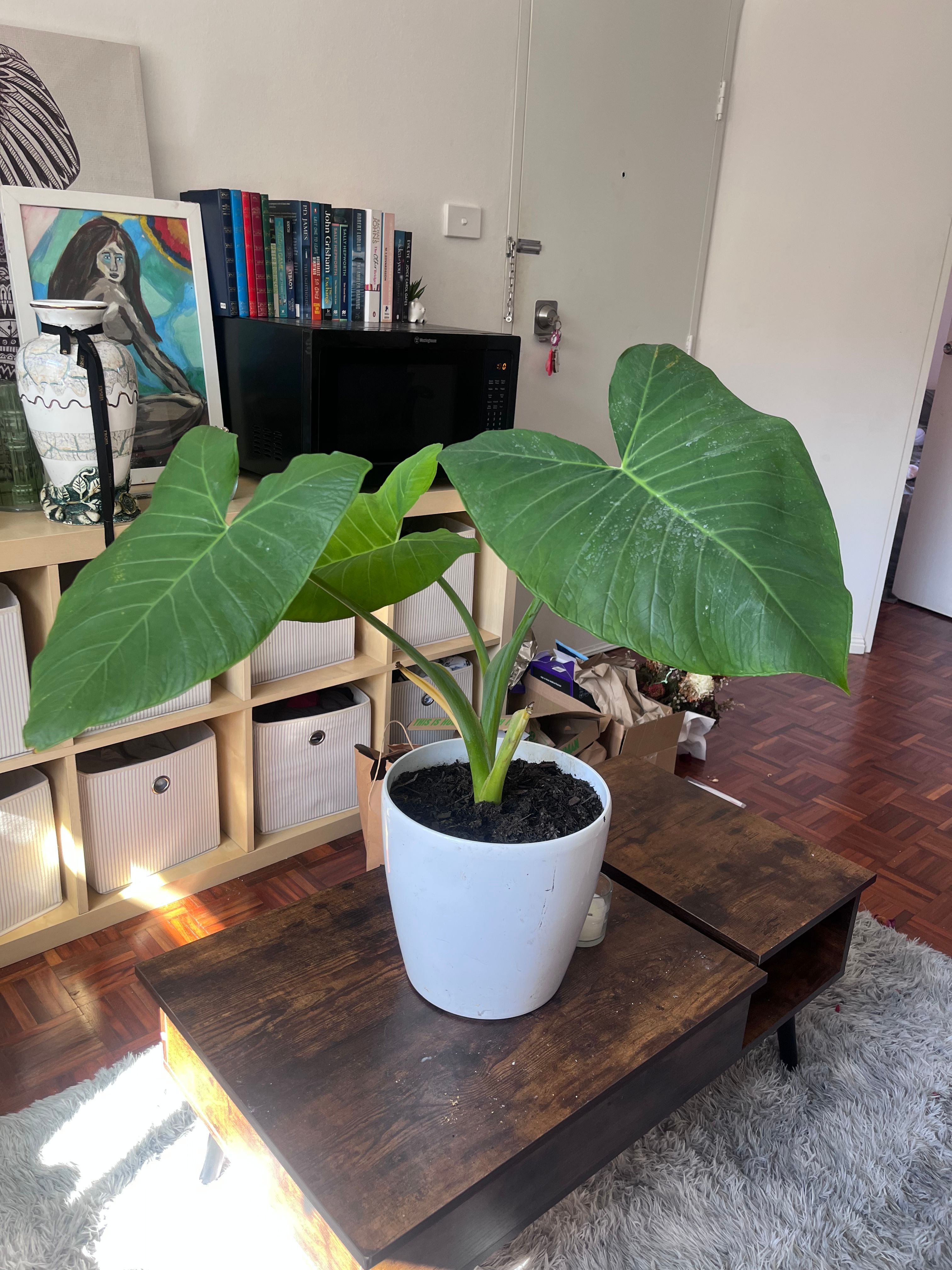 image-15