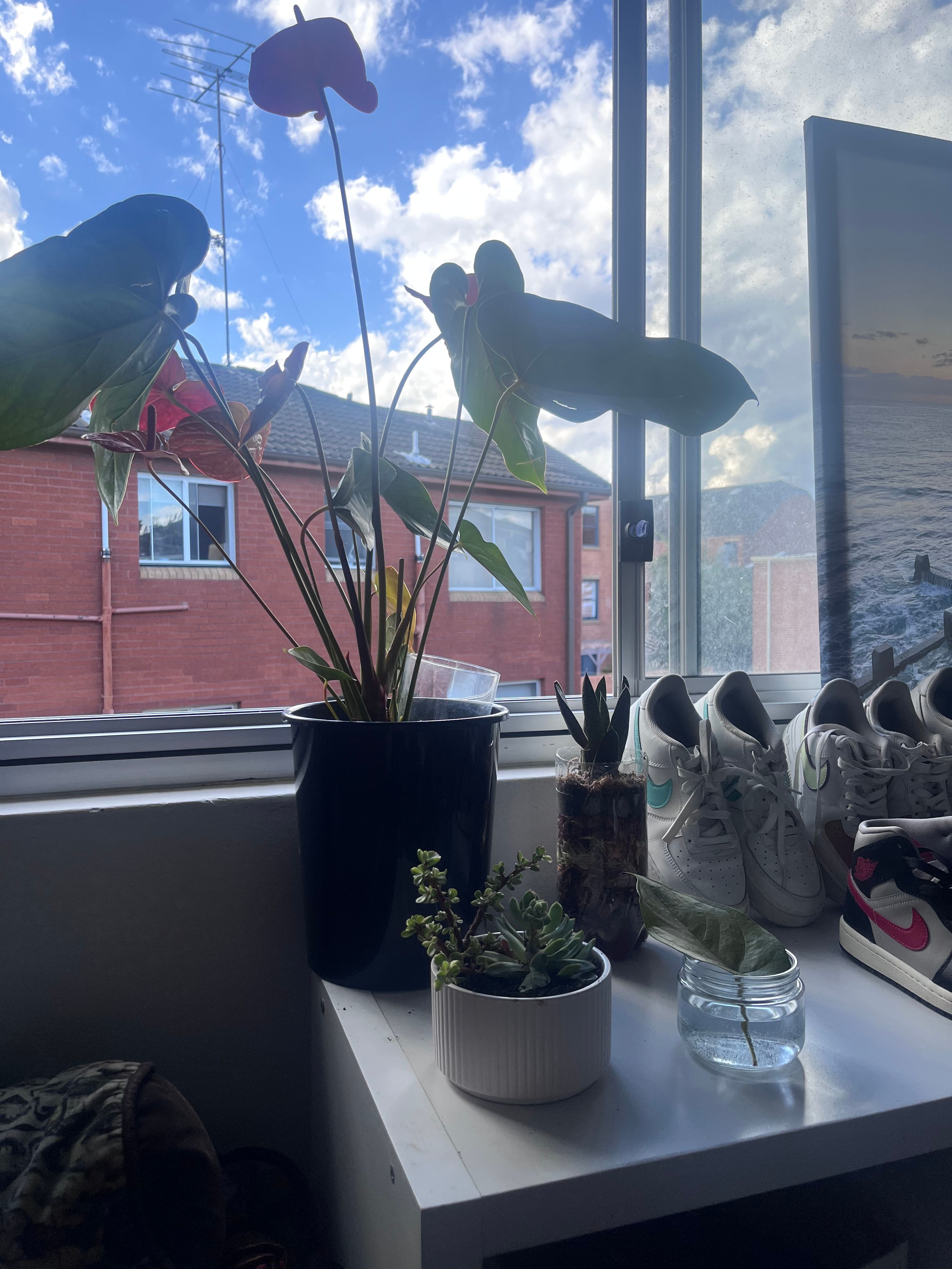 image-19